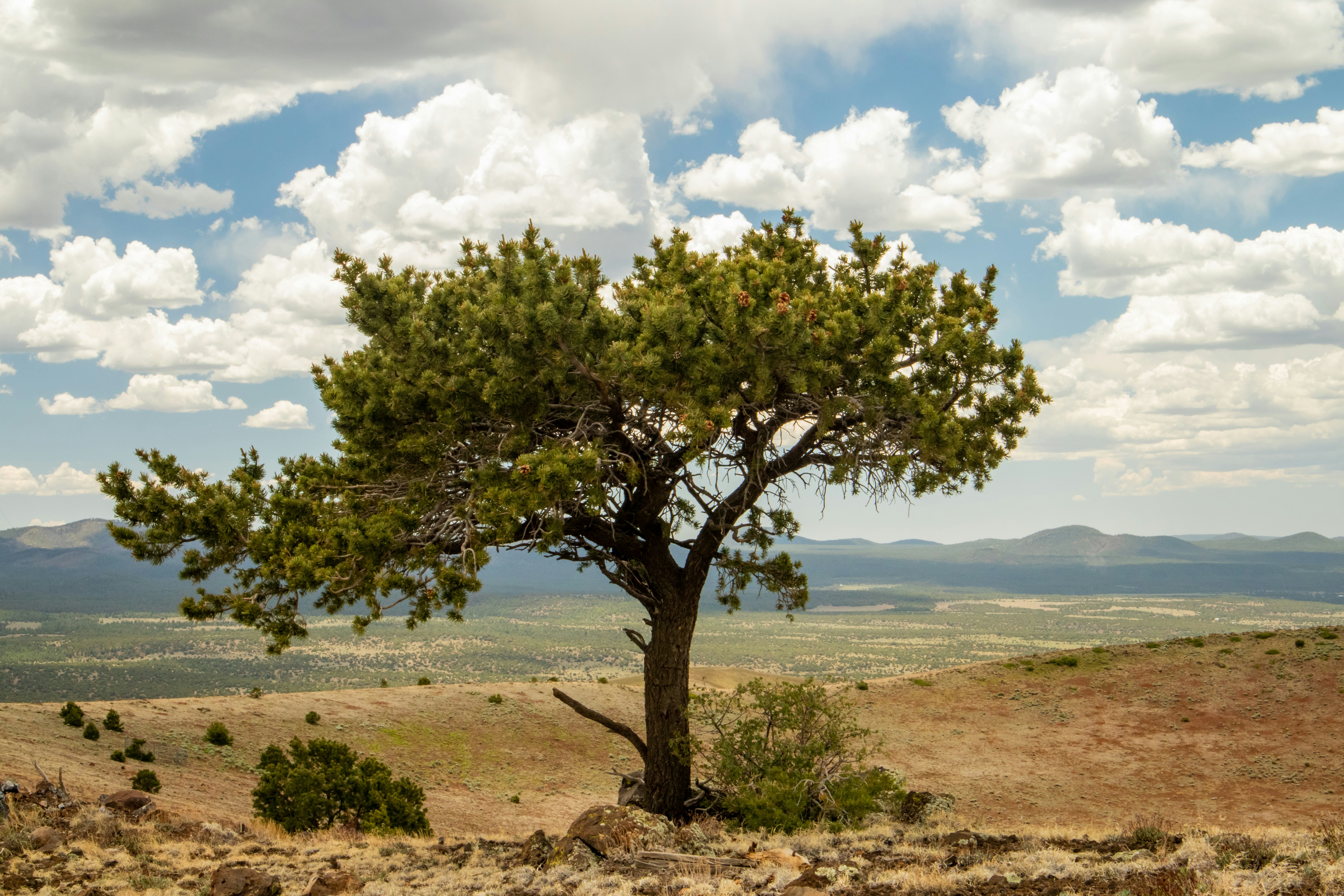 Photo by king_daniel_the_awesome