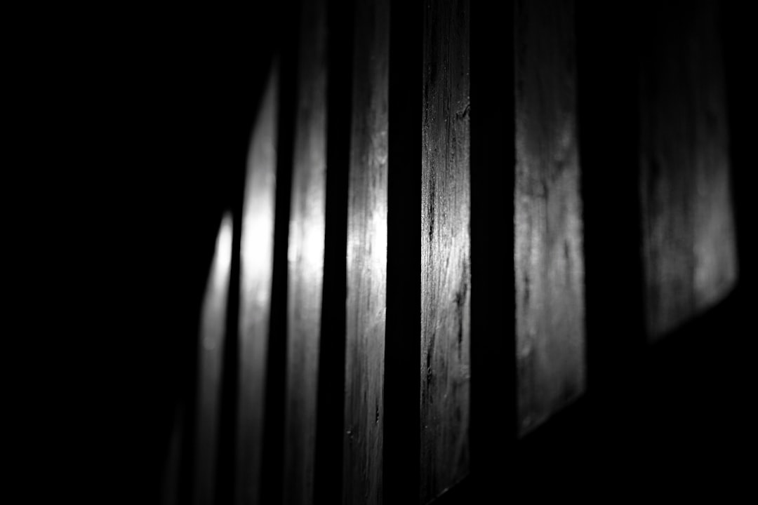 a close up of a tree trunk, black and white by night