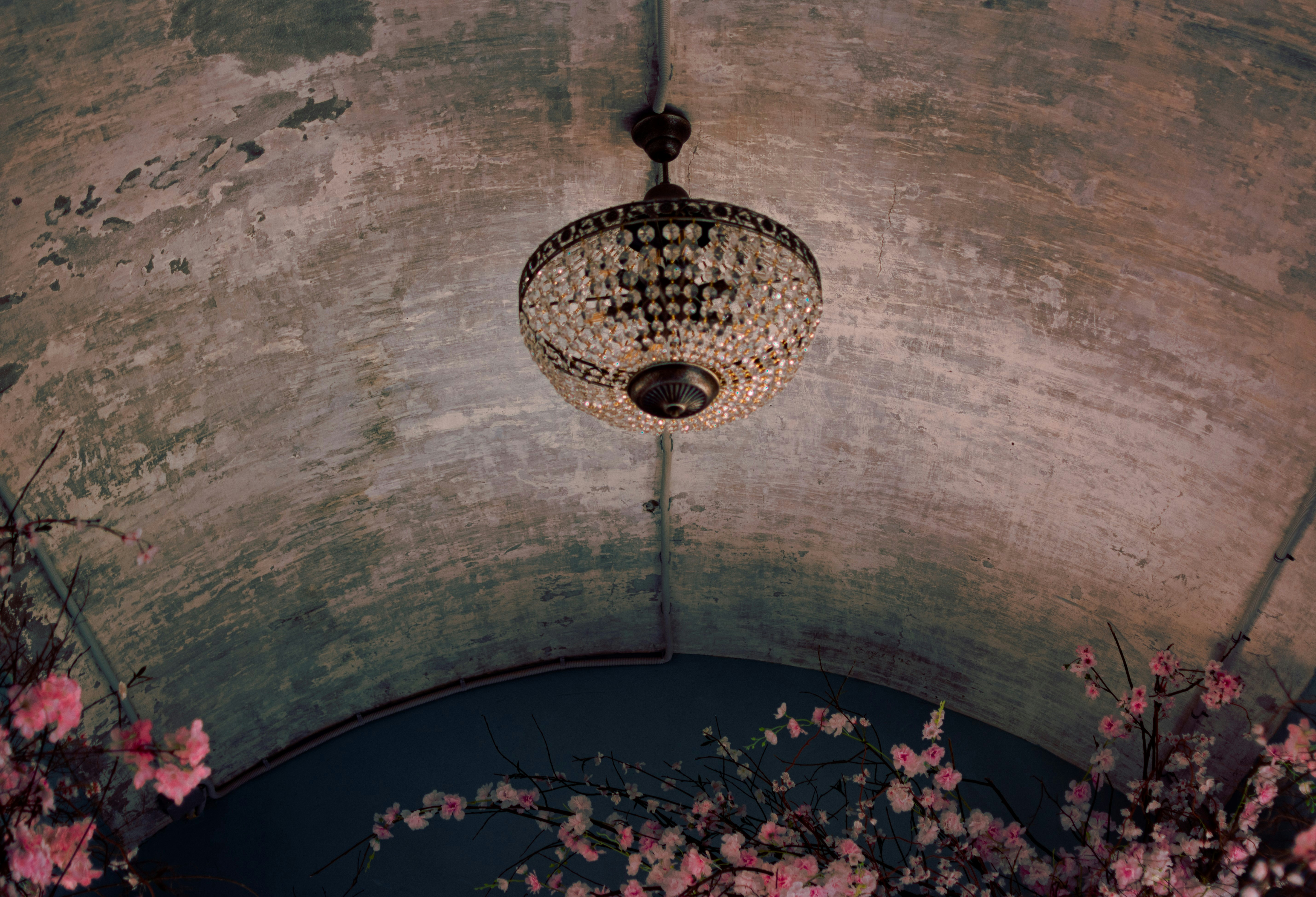 Photo by vadutskevich