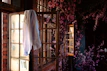 A bright and airy shot of women’s shirts in soft fabrics hanging by a sunlit window.
