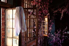 A bright and airy shot of women’s shirts in soft fabrics hanging by a sunlit window.