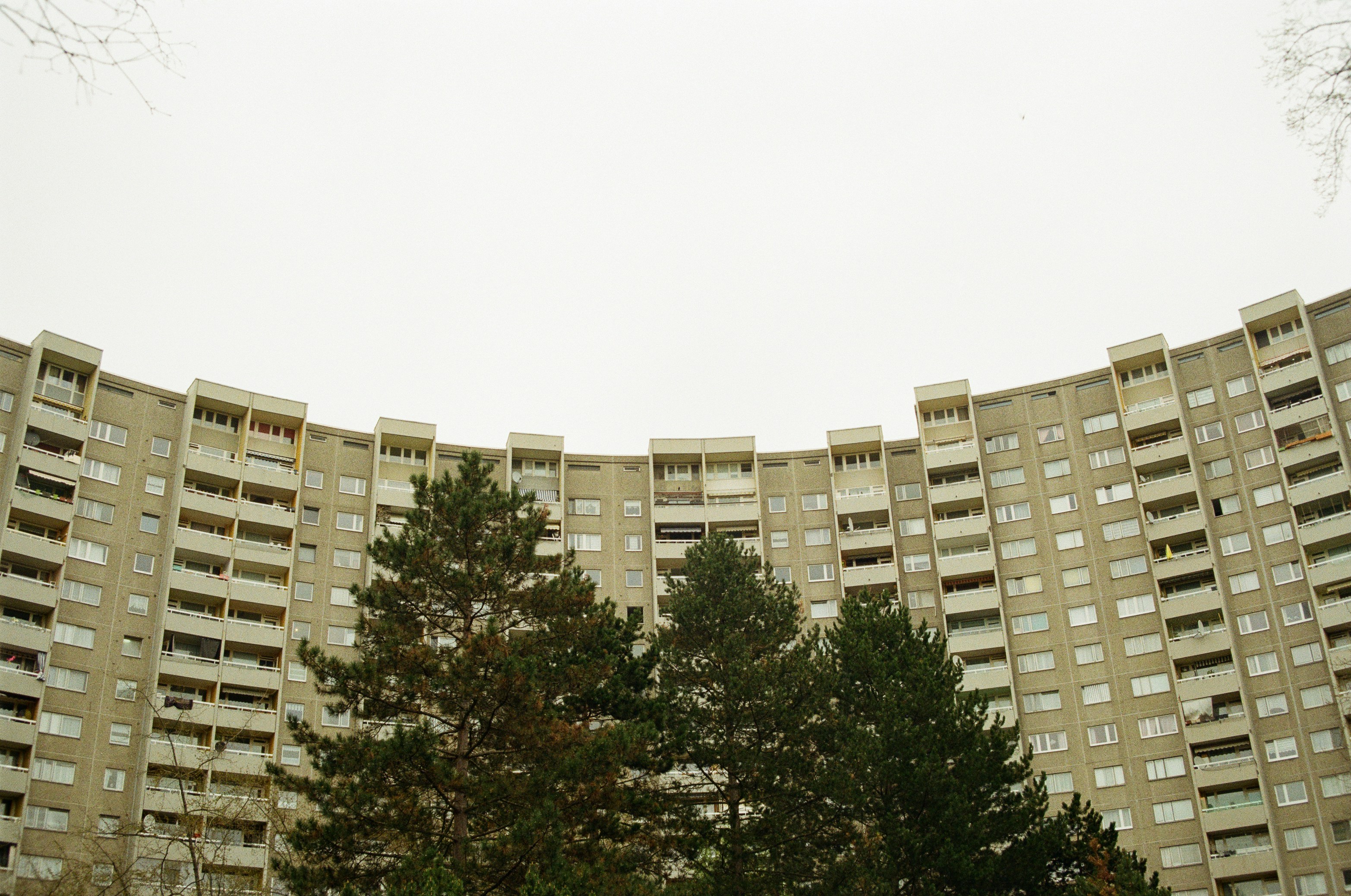 Photo by 100millione