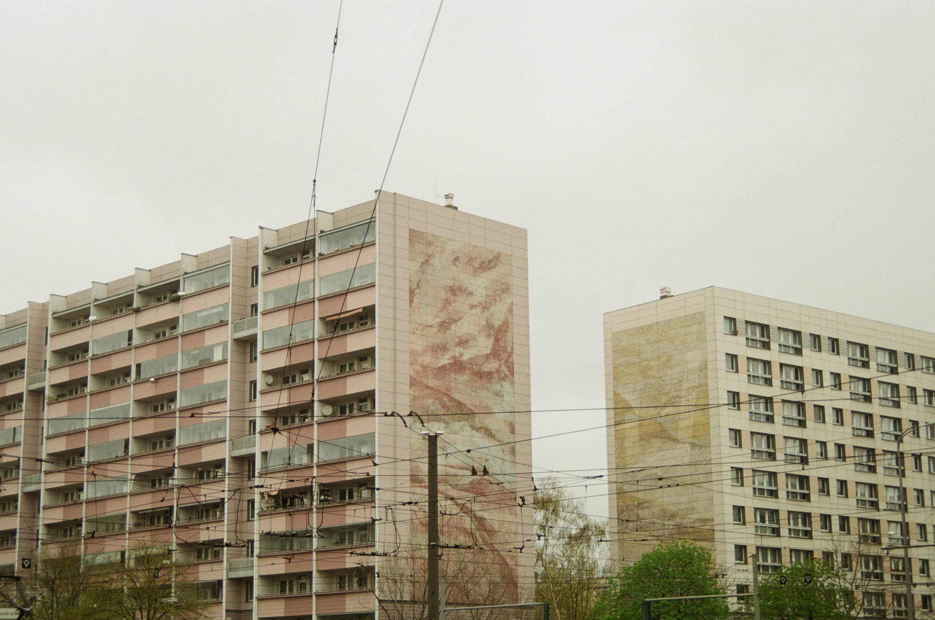 Photo by 100millione