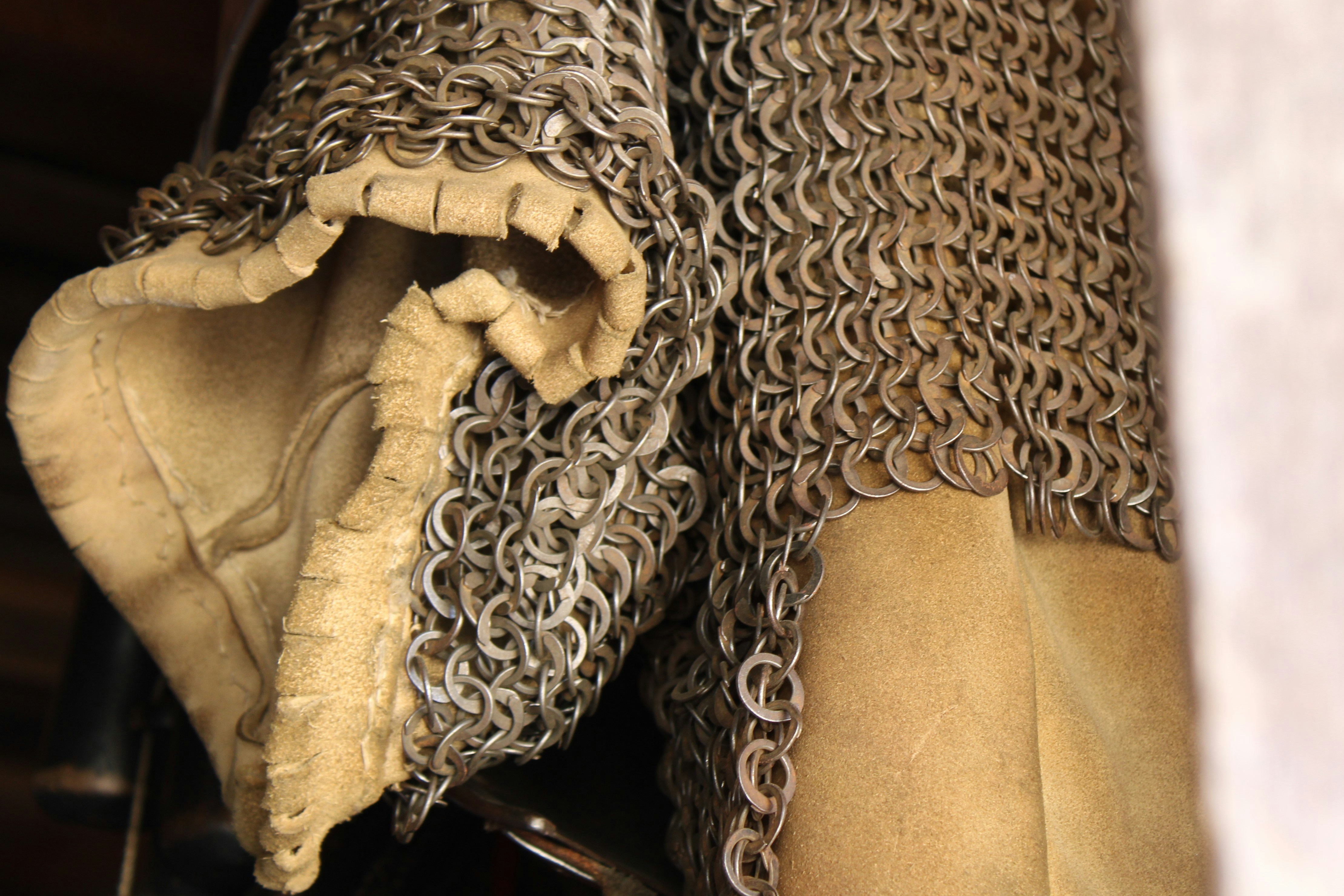 a close-up of a snake