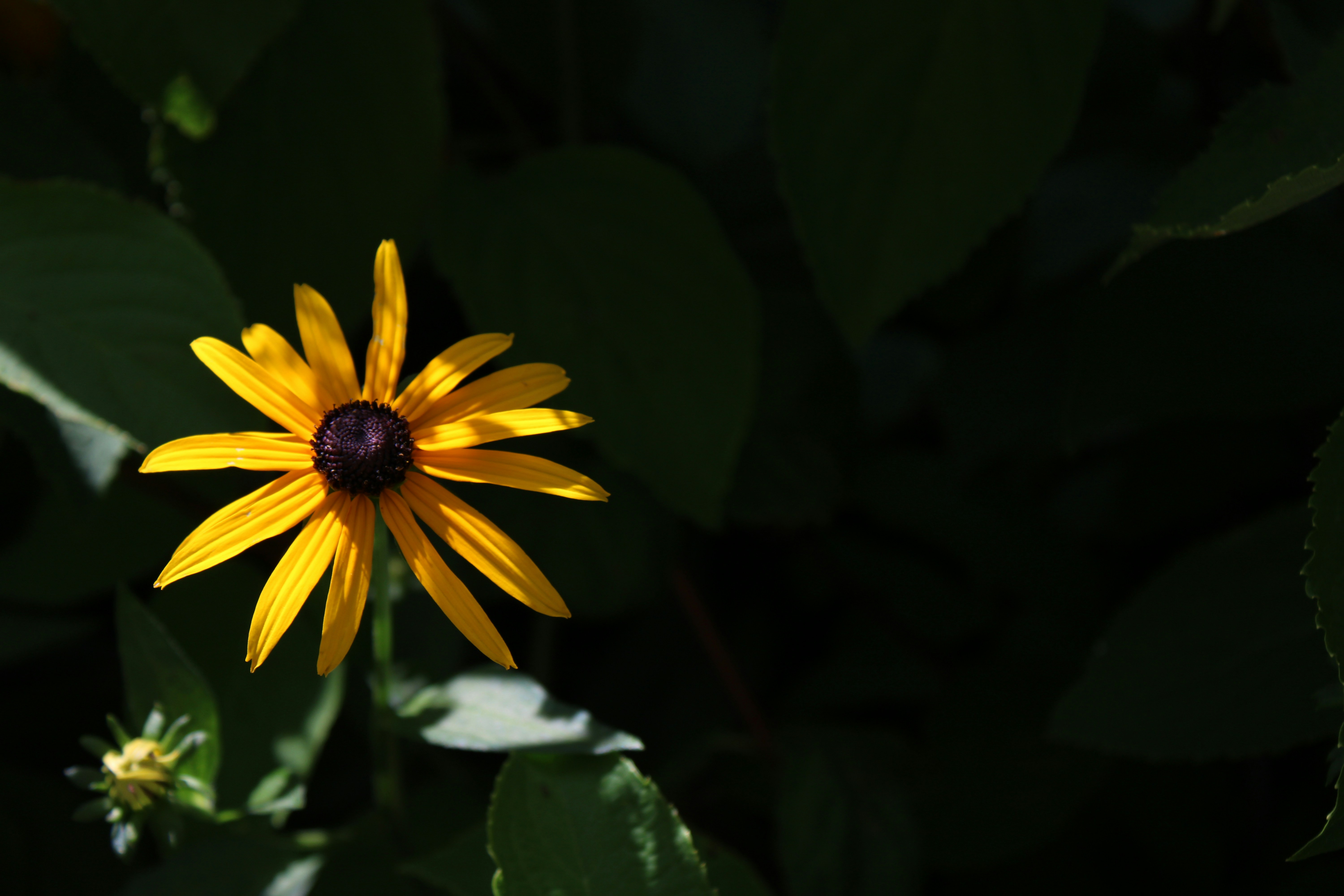 Photo by kadams77