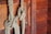 A thick, textured rope is tied in a complex knot against a wooden wall. The wall features rich, dark brown wooden planks with visible grains and knots, suggesting a rustic or nautical setting.