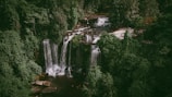 a waterfall in a forest