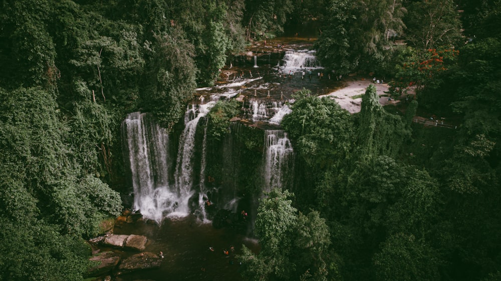 a waterfall in a forest