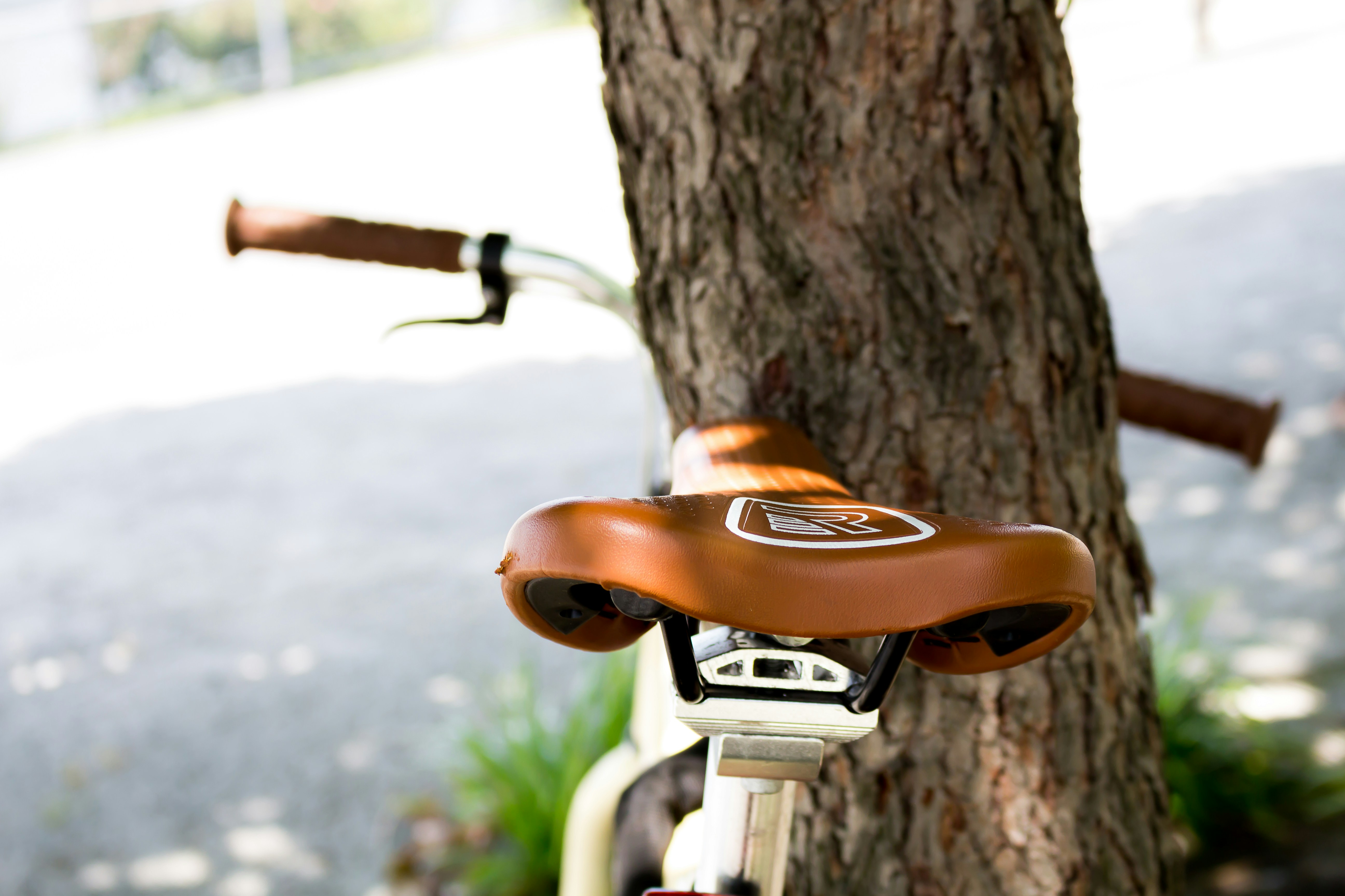 Understanding ADHD Symptoms in MS Patients