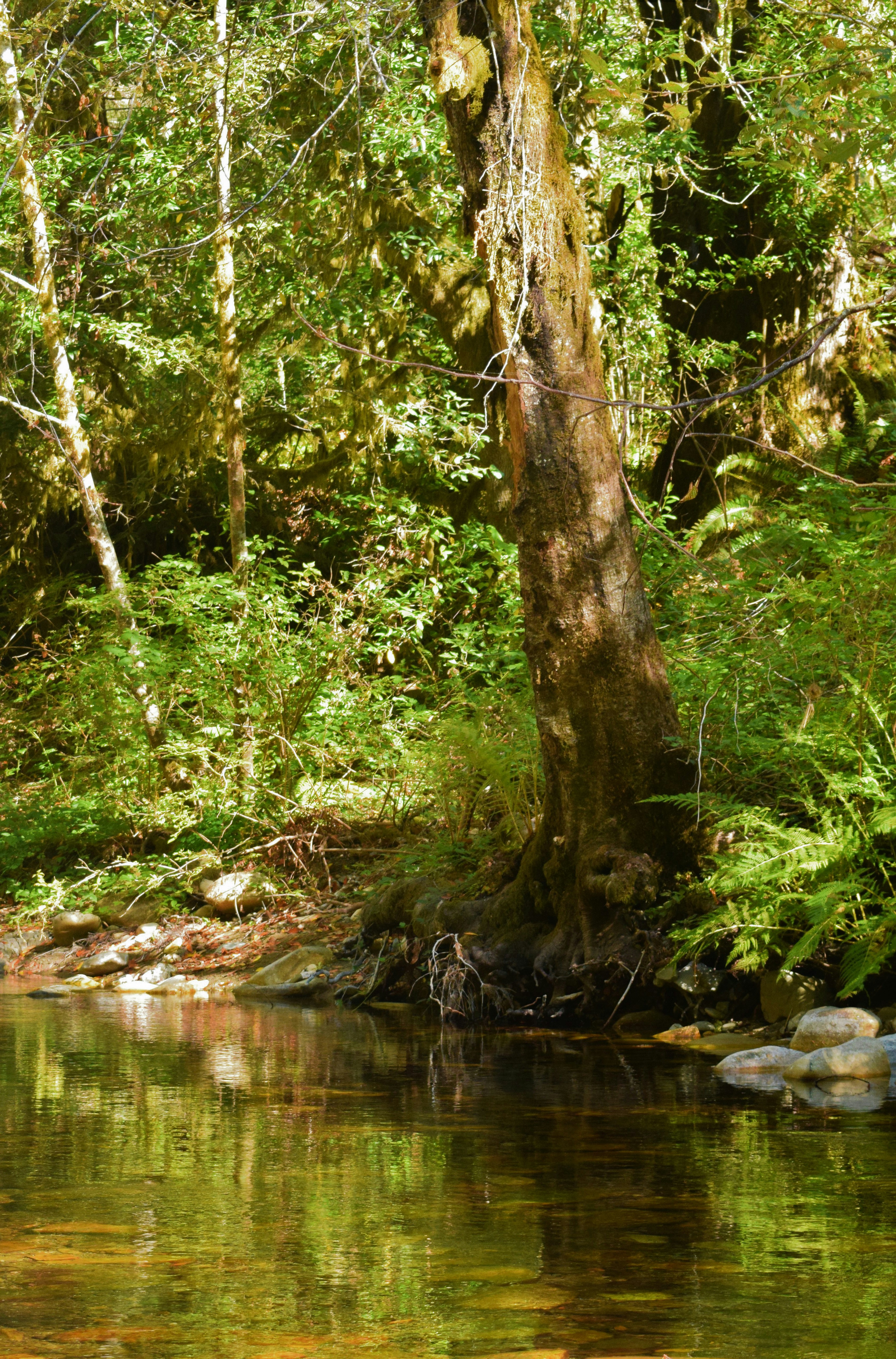 Photo by kathyryn_tripp