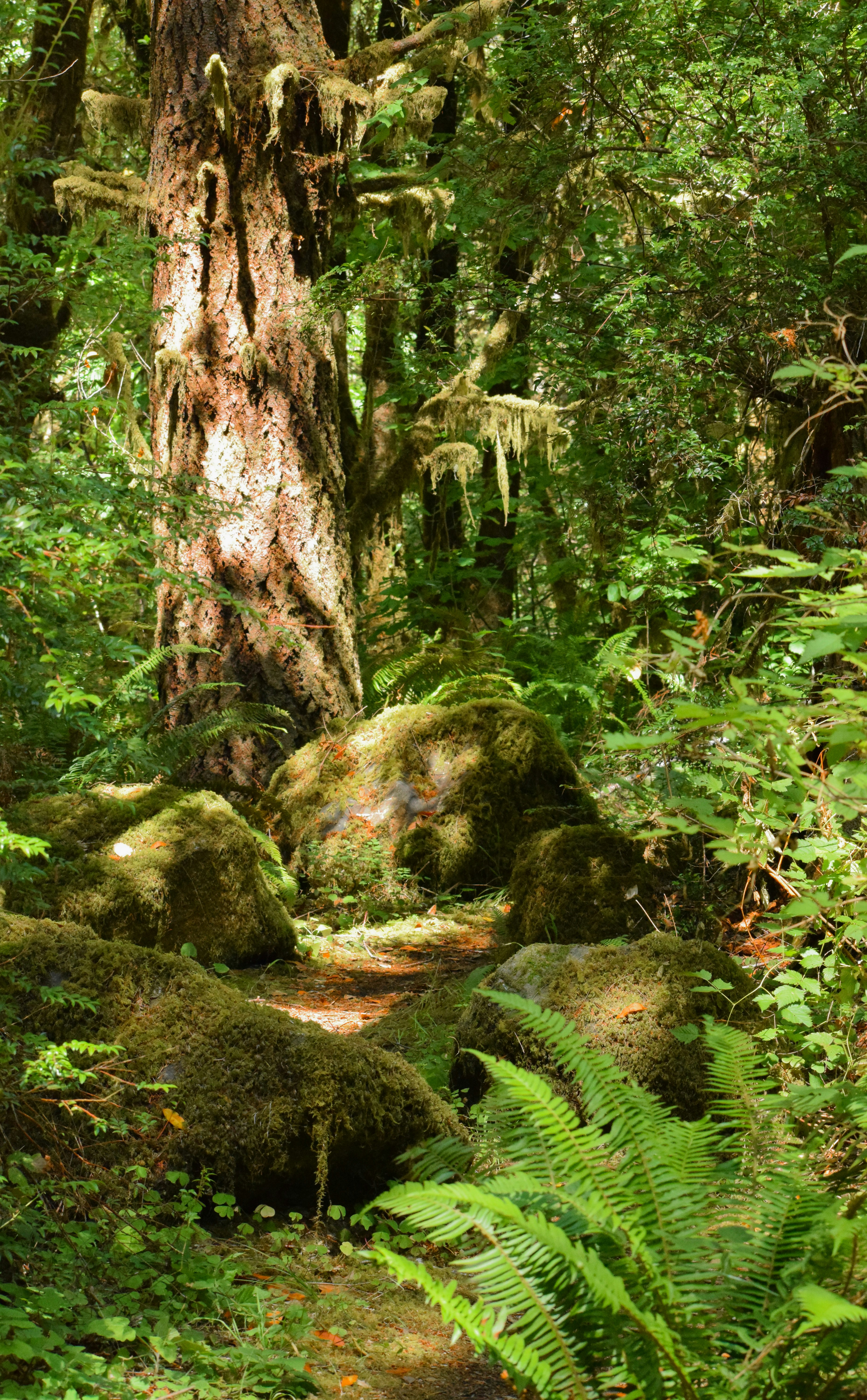 Photo by kathyryn_tripp