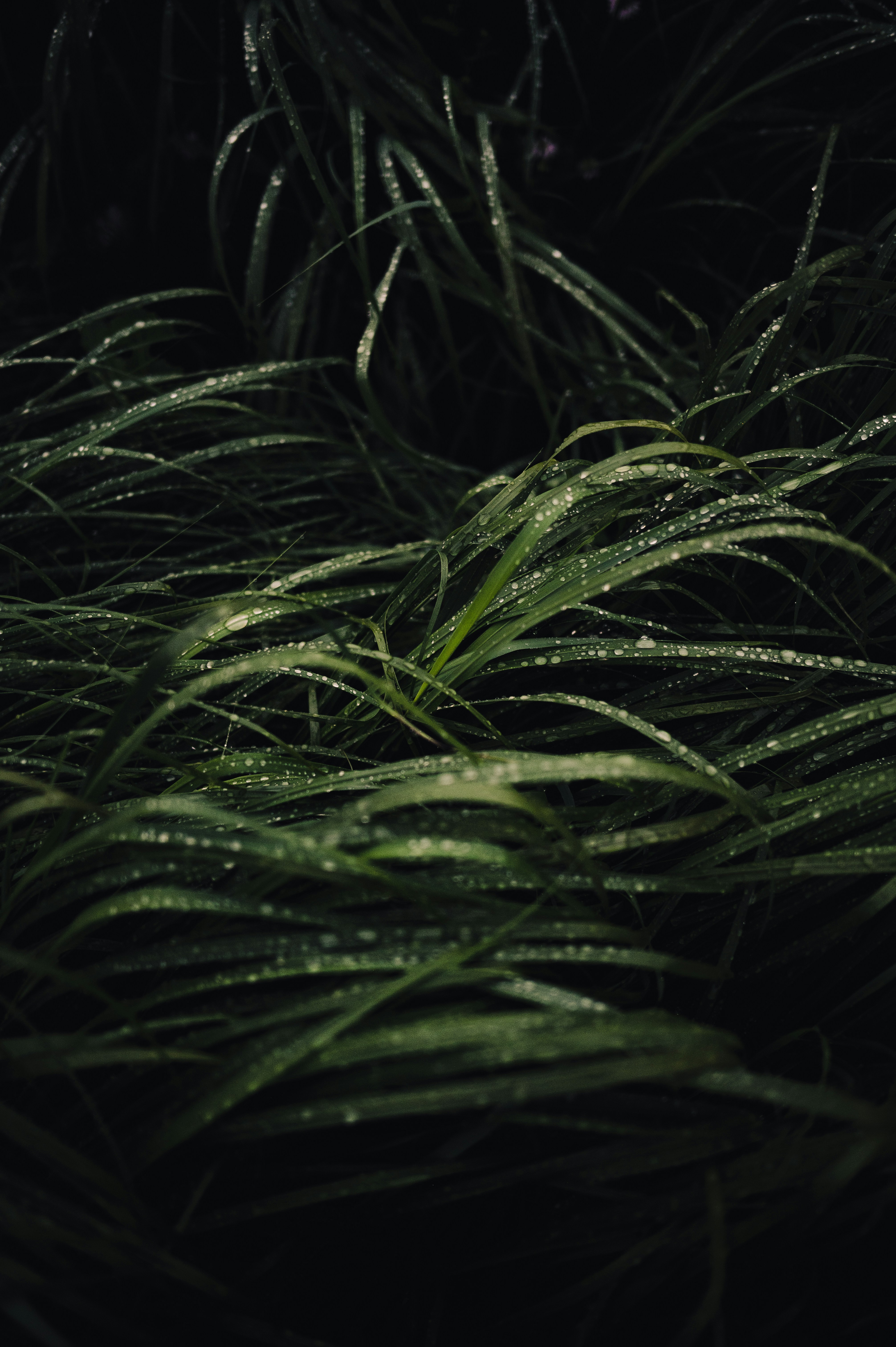 gray computer monitor