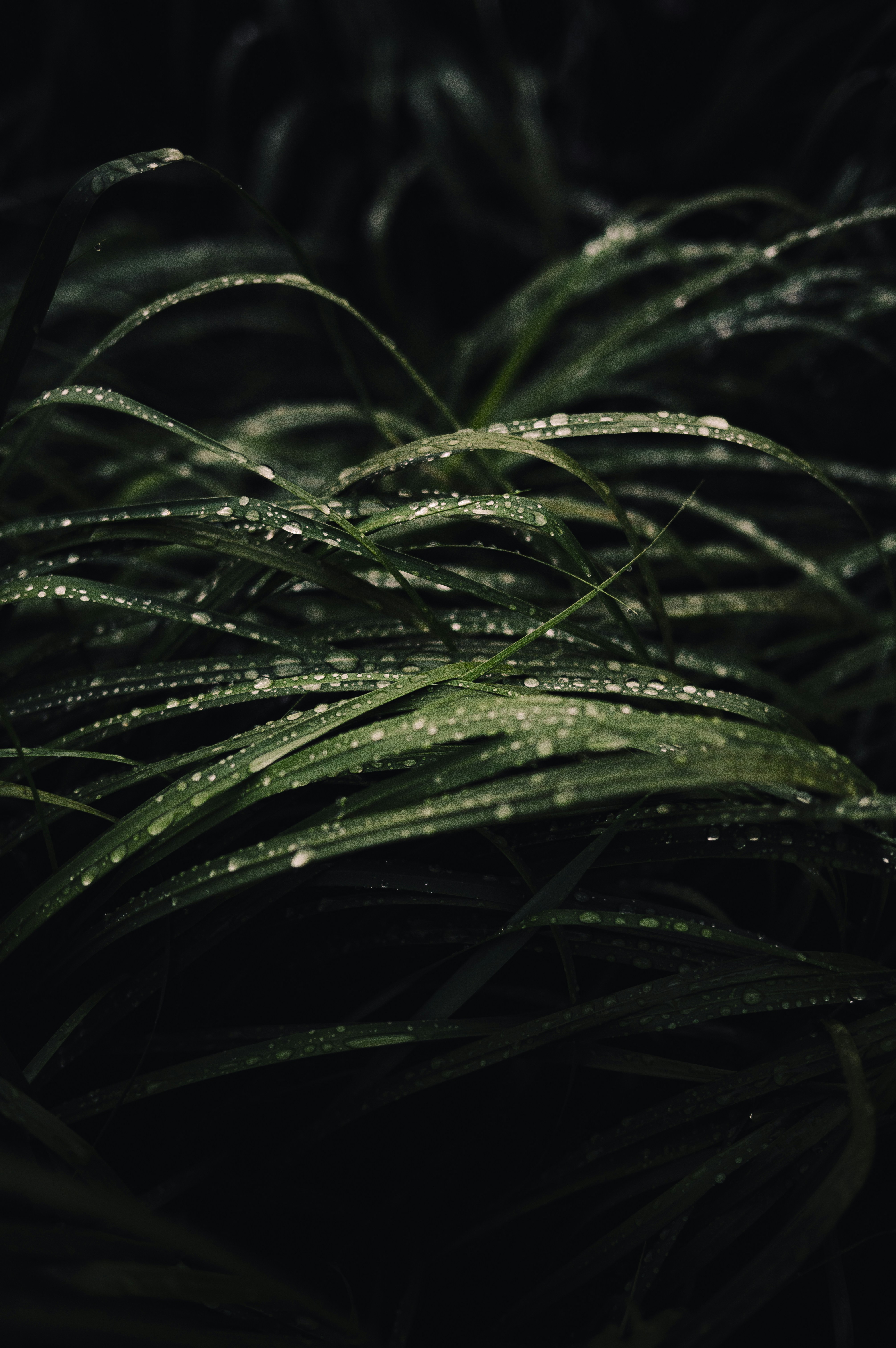 Photo by ryunosuke_kikuno