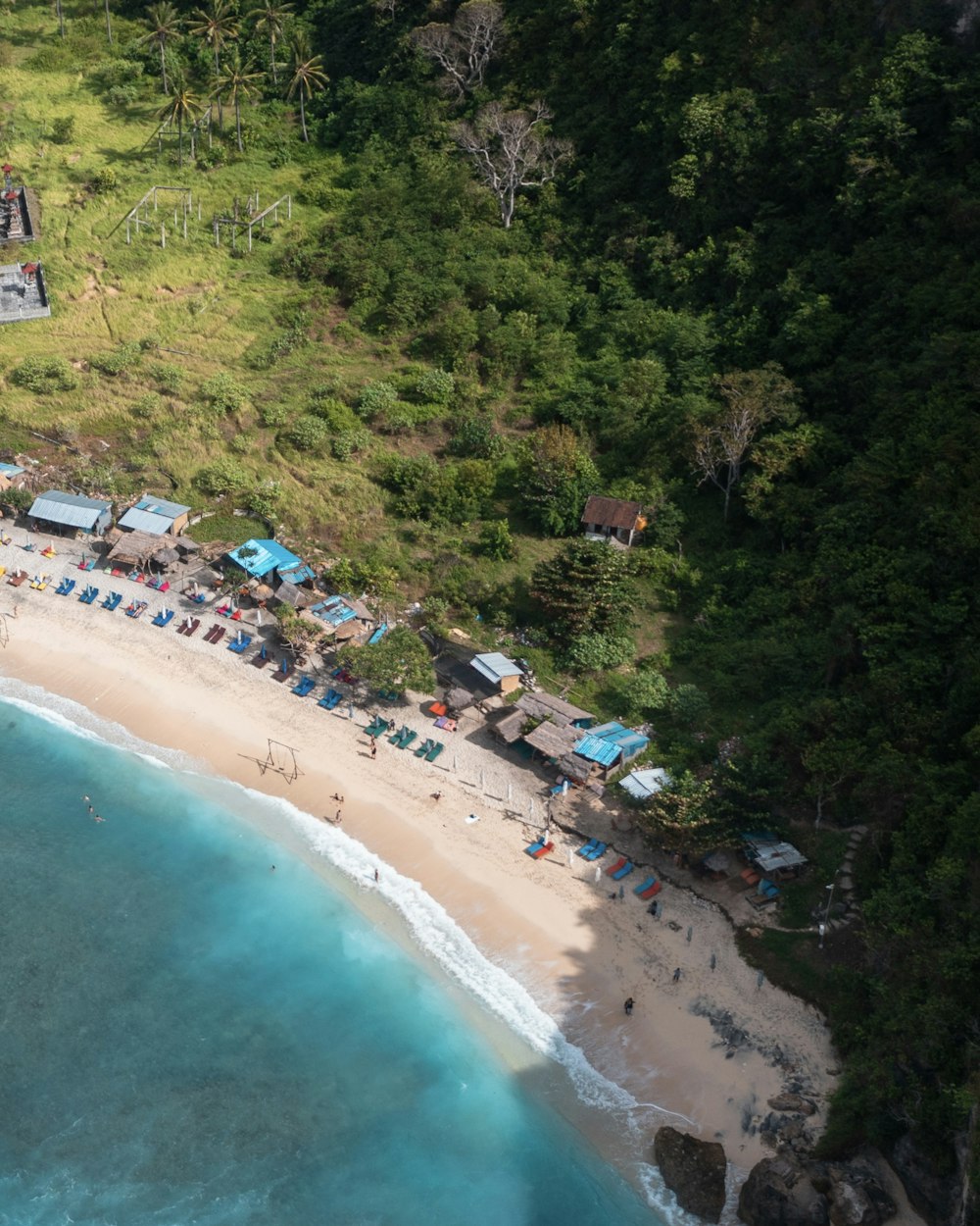 a beach with people and trees