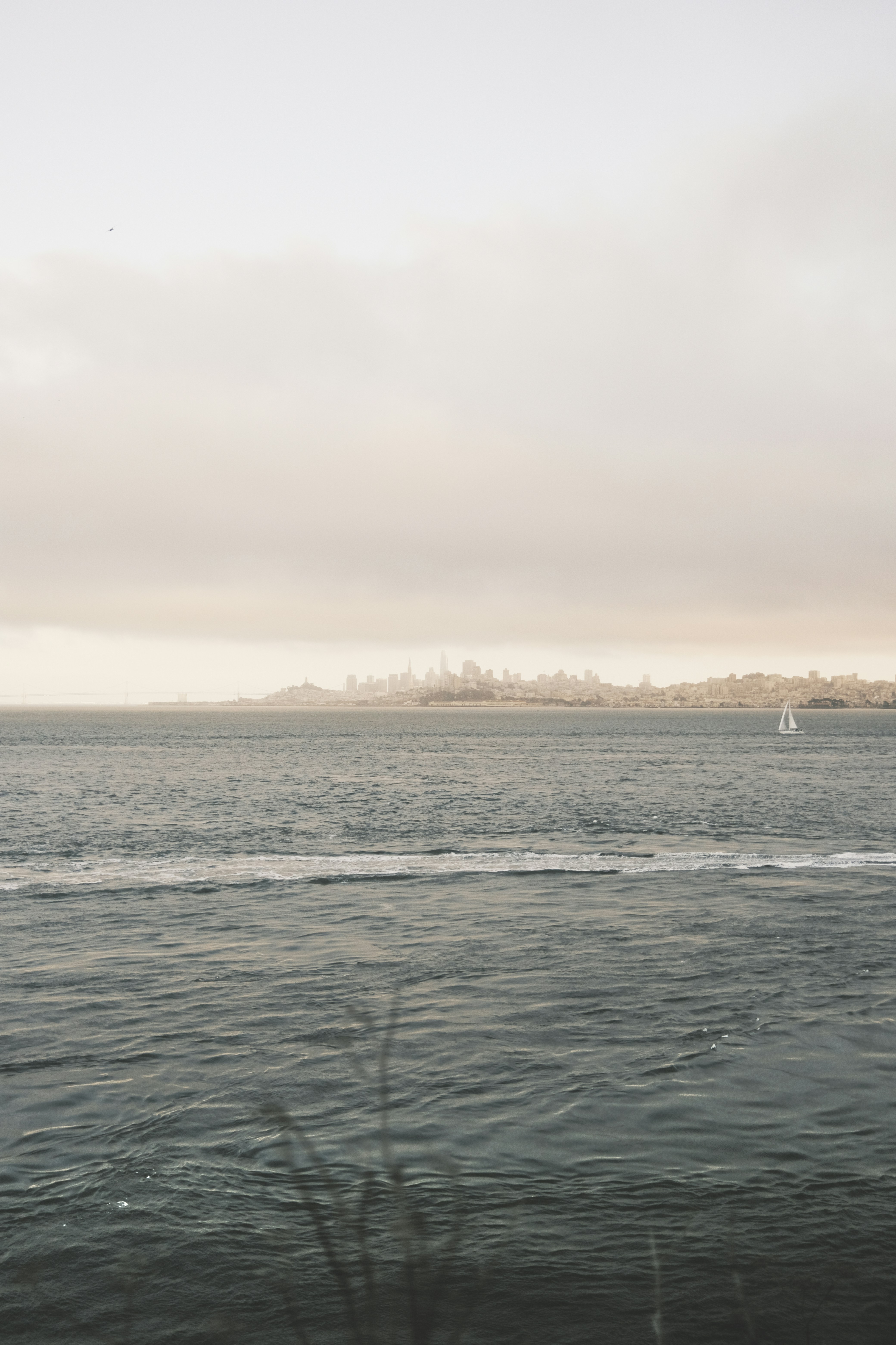 Photo by nathanguzman