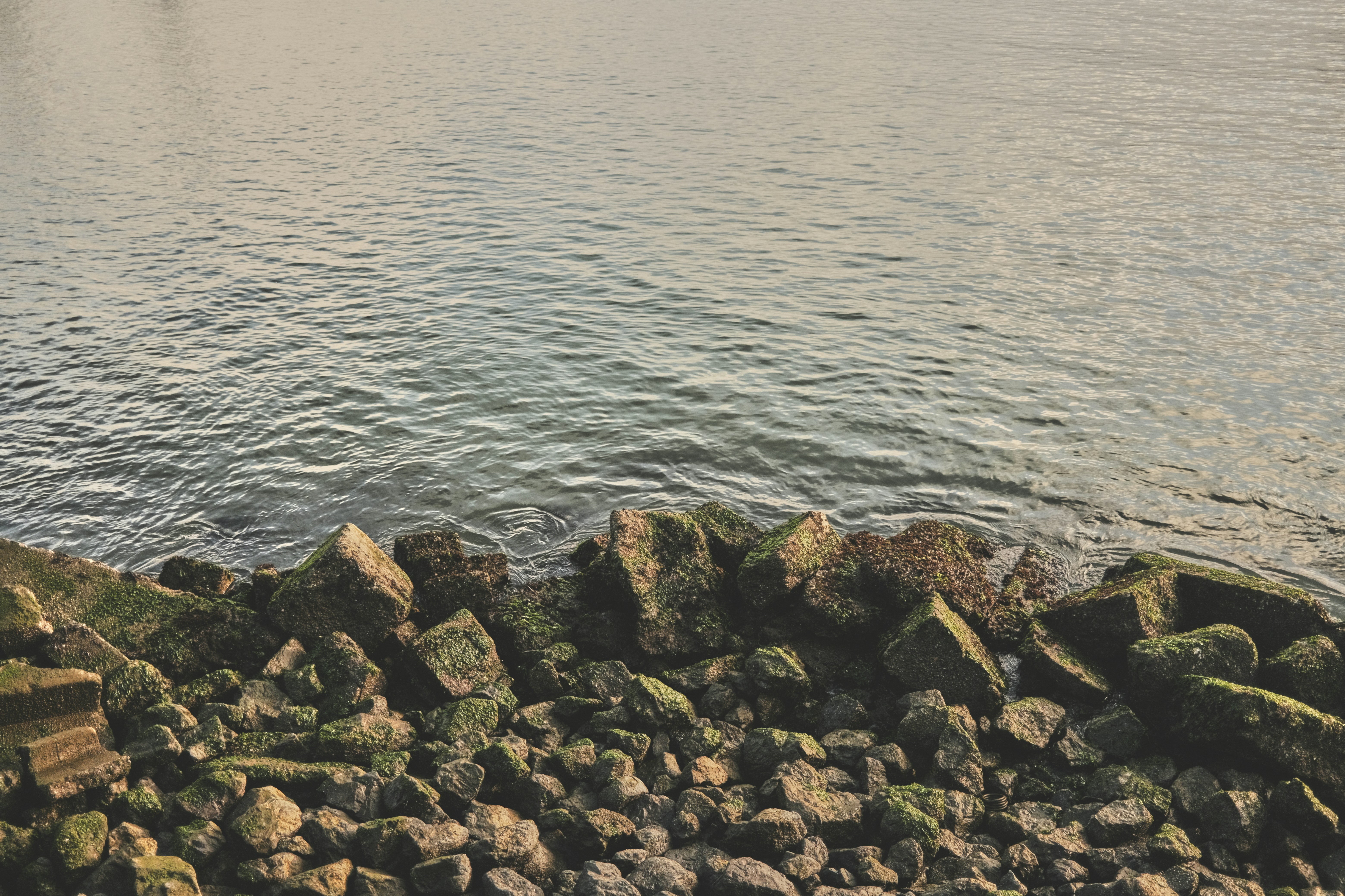 Photo by nathanguzman