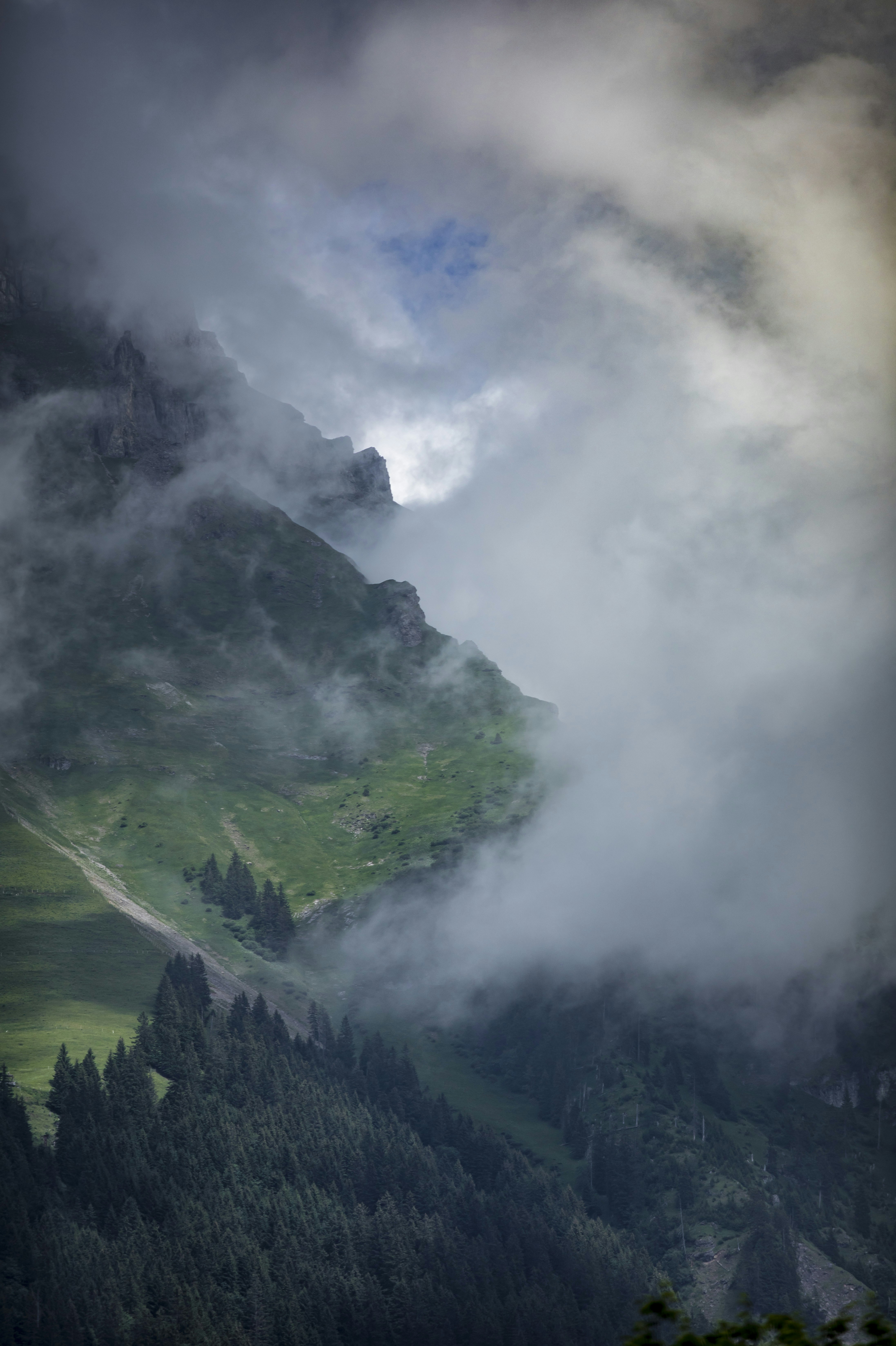 Photo by leo_visions_