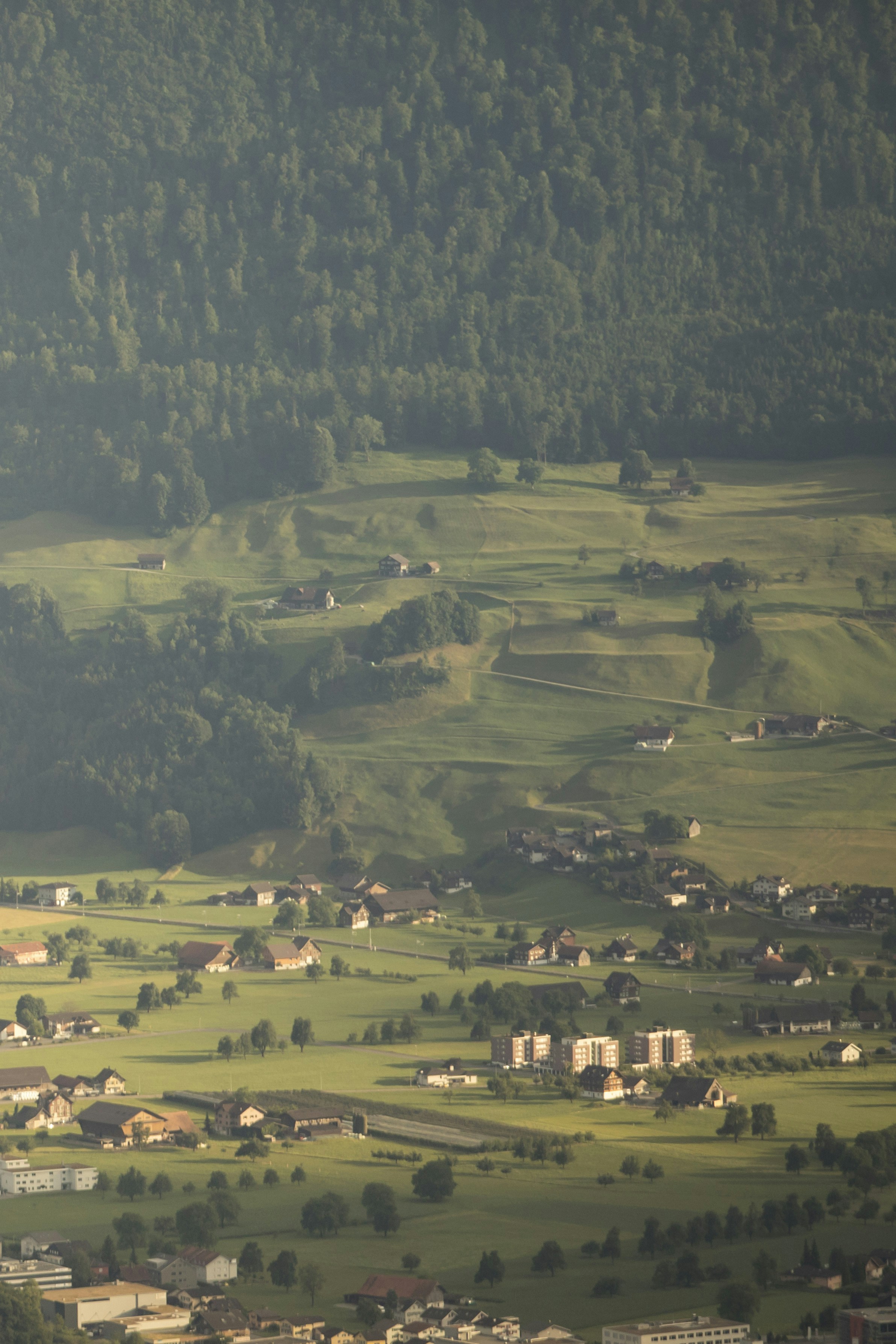 Photo by leo_visions_