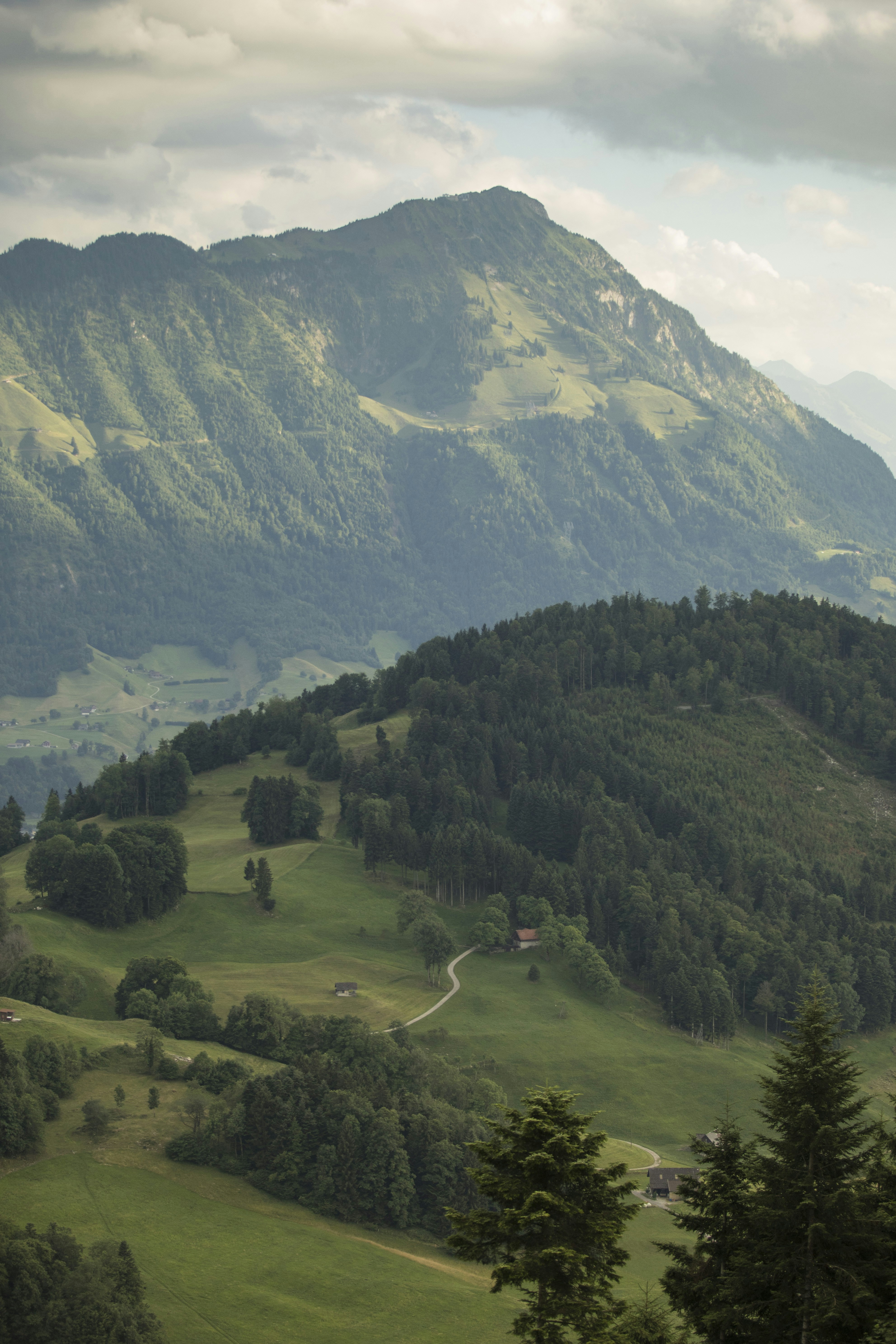 Photo by leo_visions_