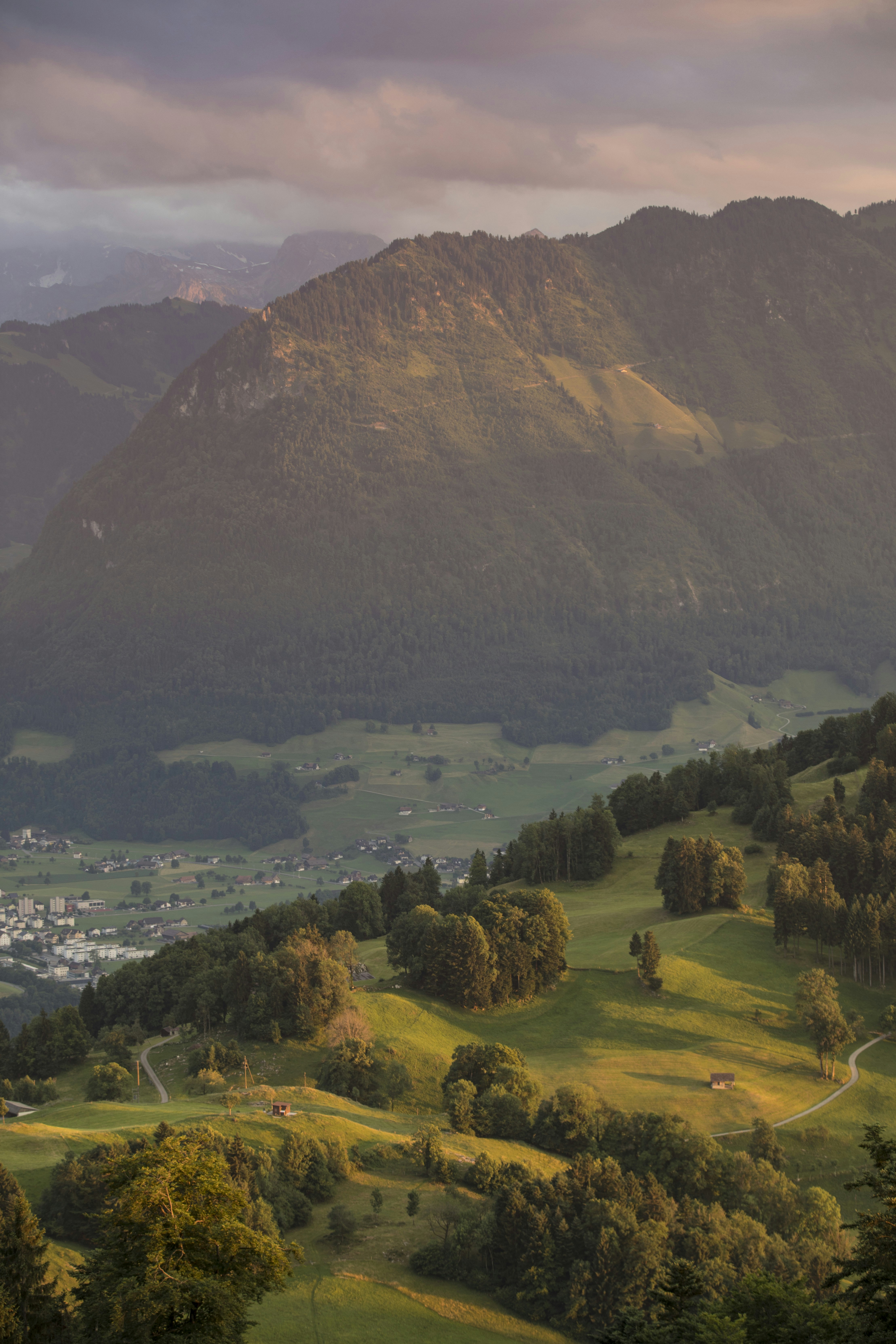 Photo by leo_visions_