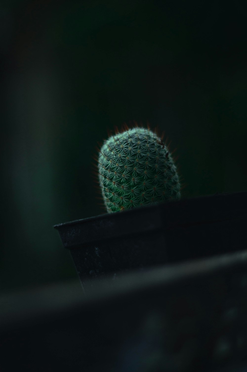 Un espectáculo de fuegos artificiales verde y blanco