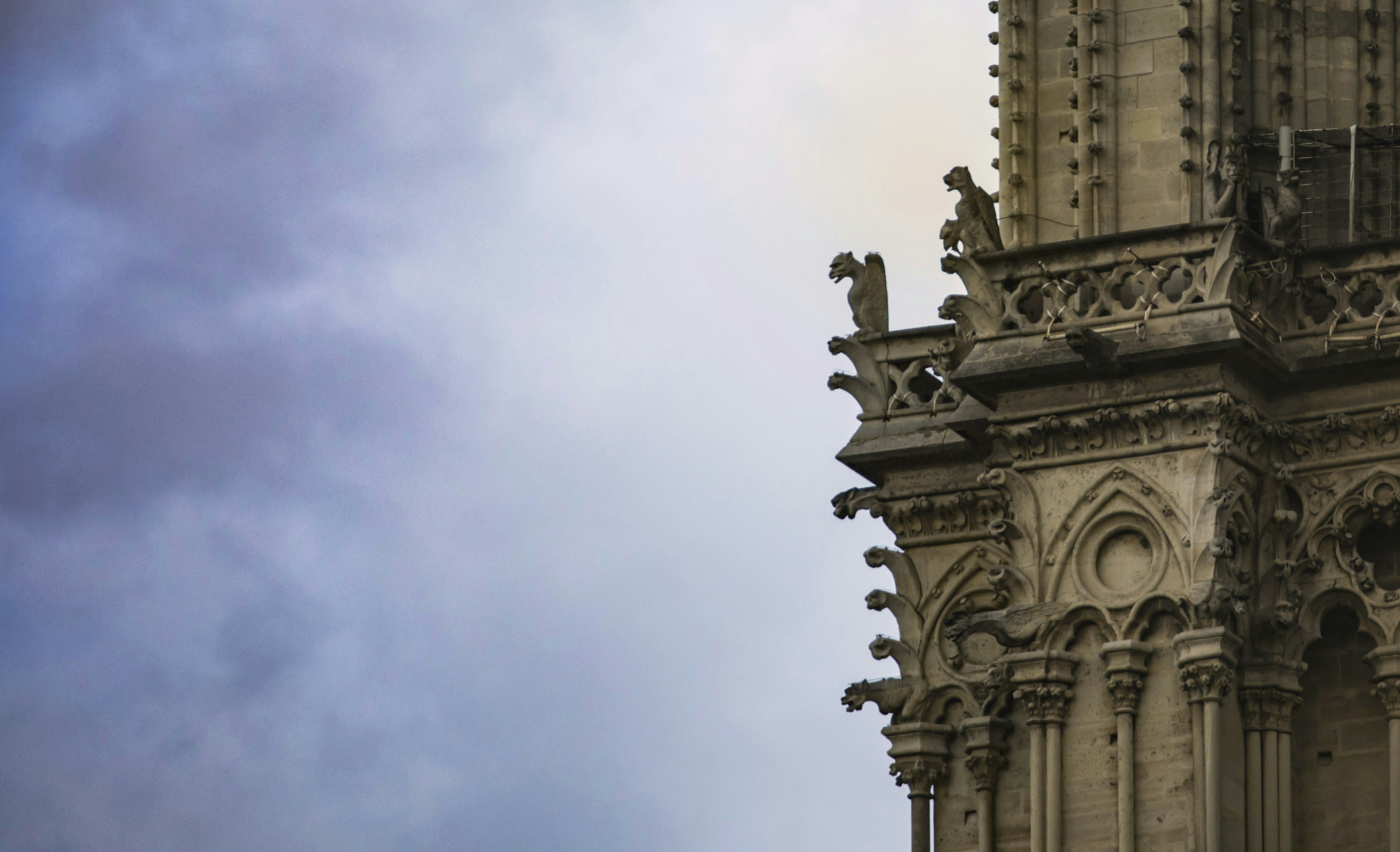 Photo by leo_visions_