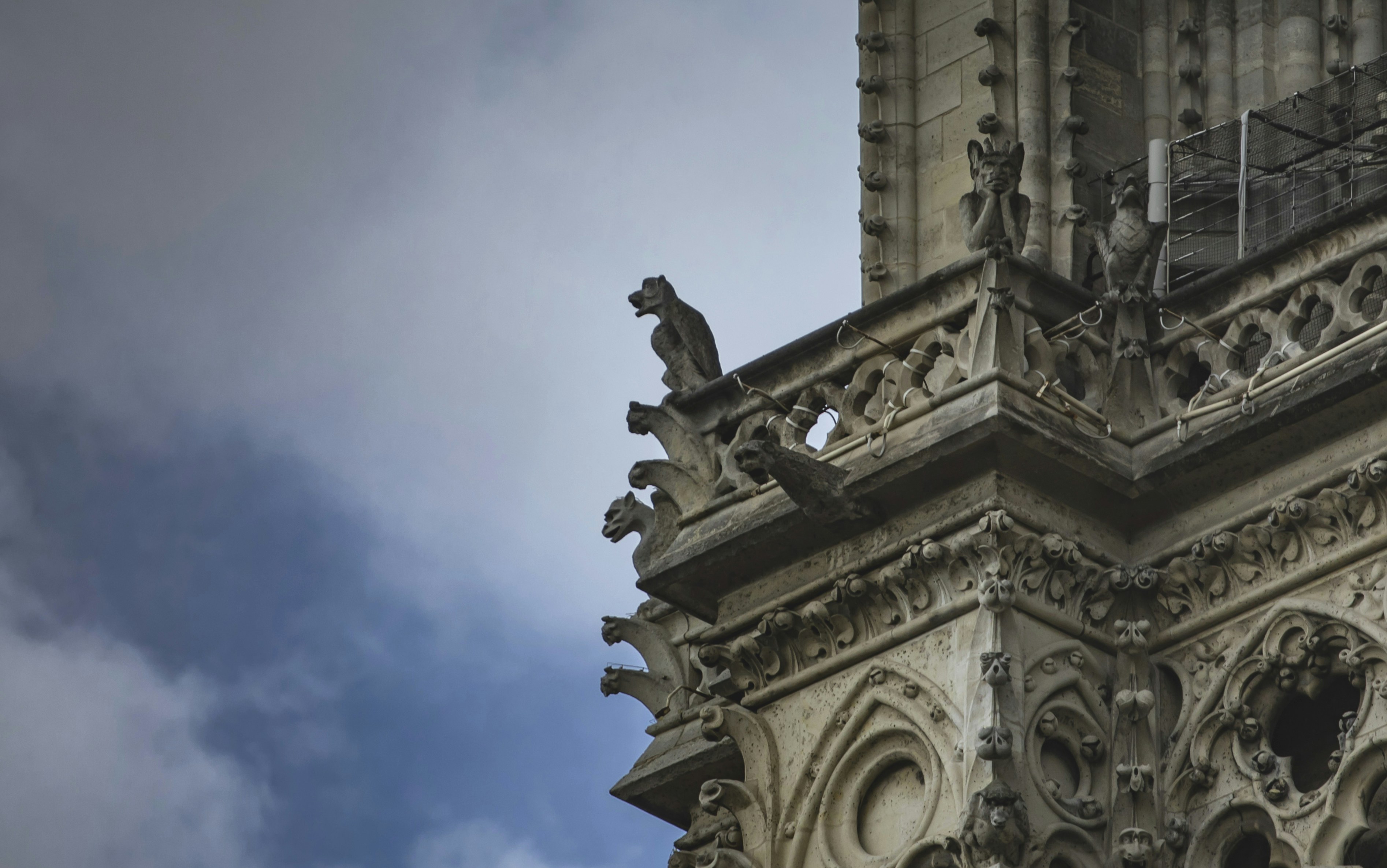 Photo by leo_visions_