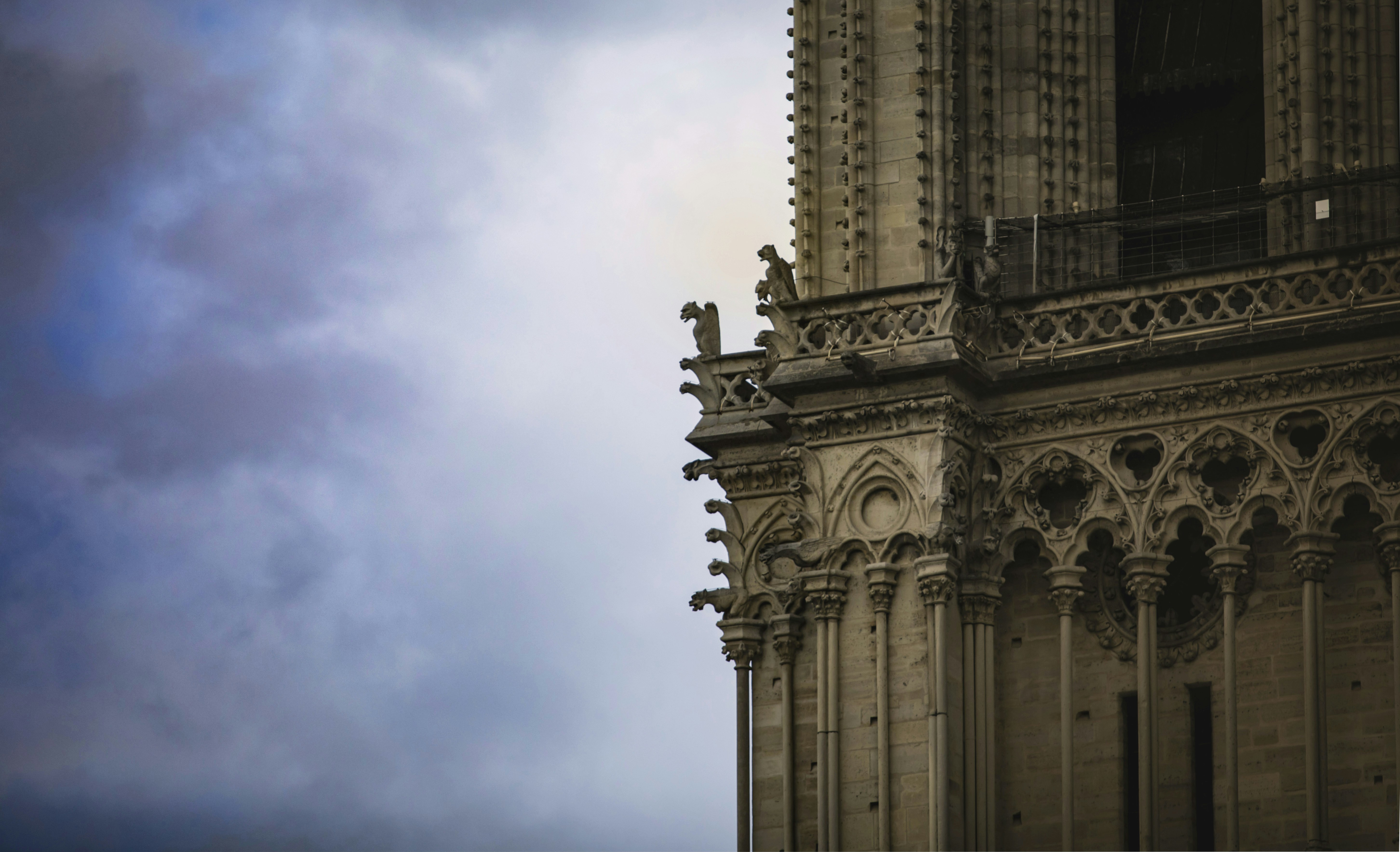 Photo by leo_visions_