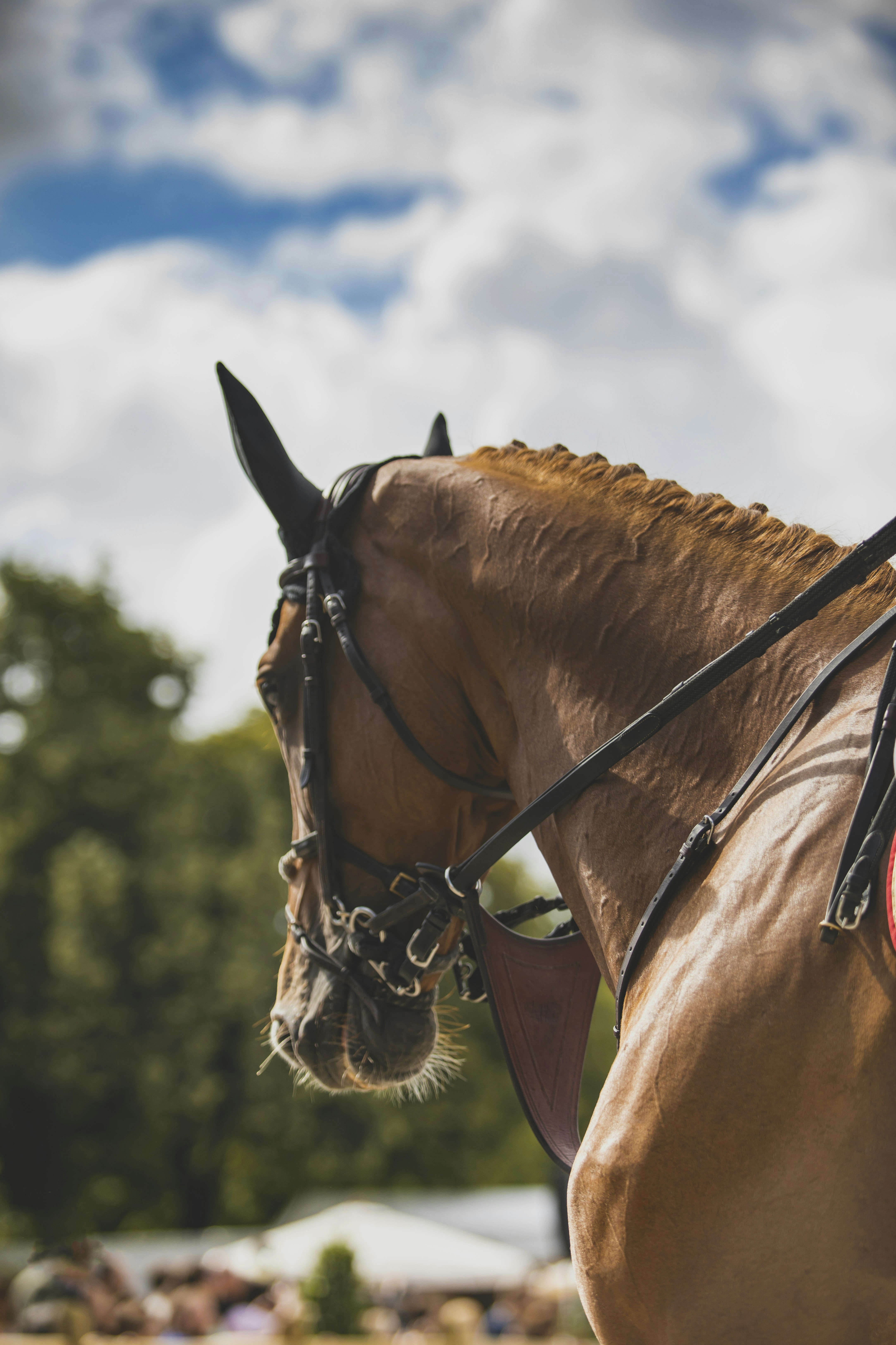 Photo by leo_visions_