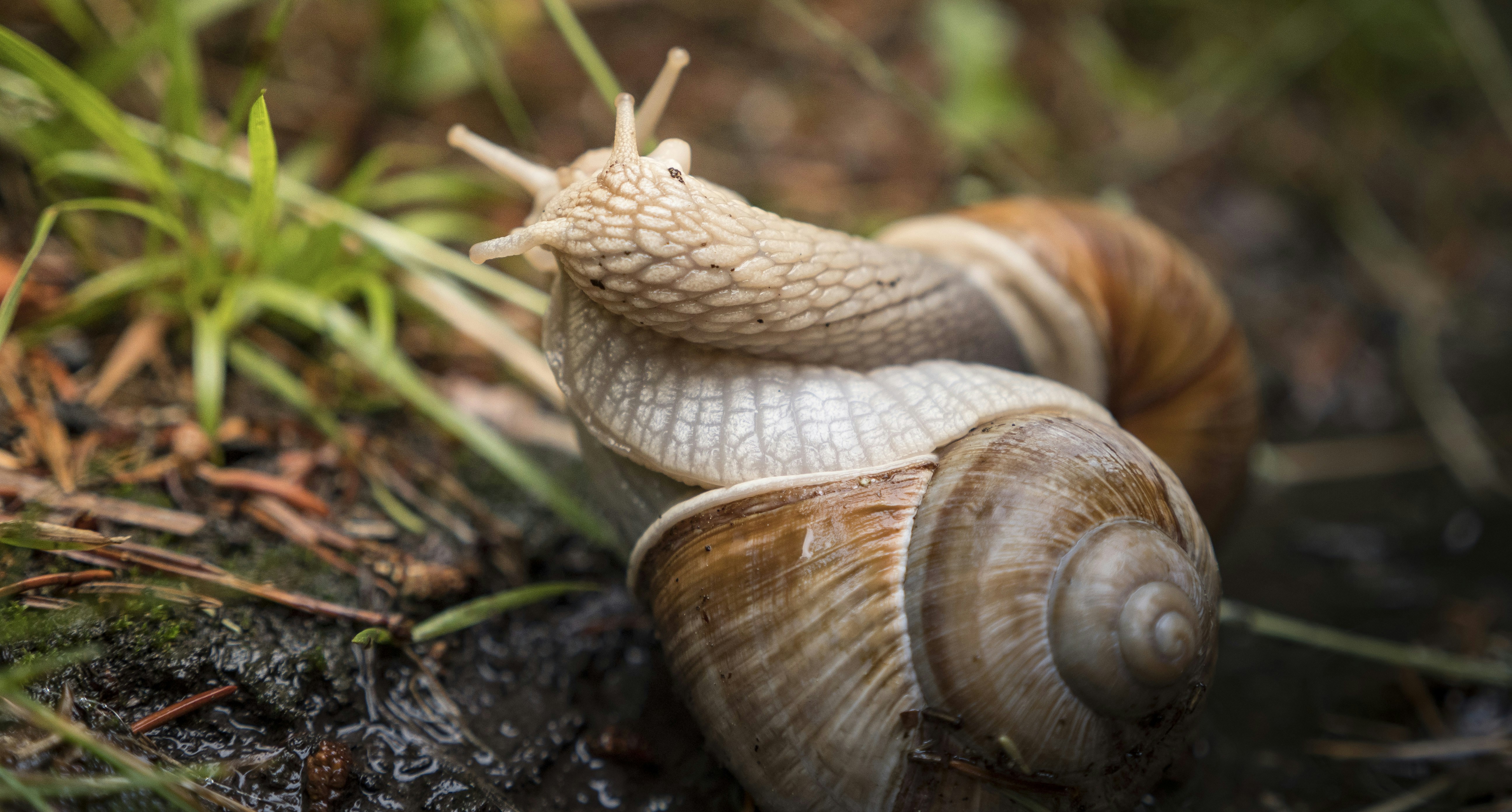 Photo by leo_visions_