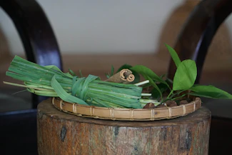 a couple of green frogs on a planter