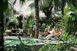 Couples relaxing by a luxurious hotel pool surrounded by palm trees.