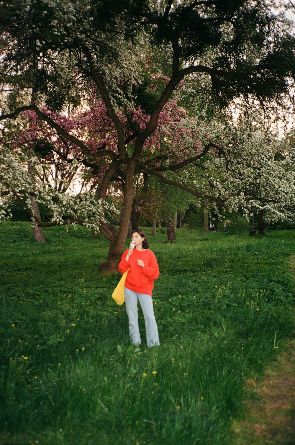 a person standing in a grassy area with trees in the back