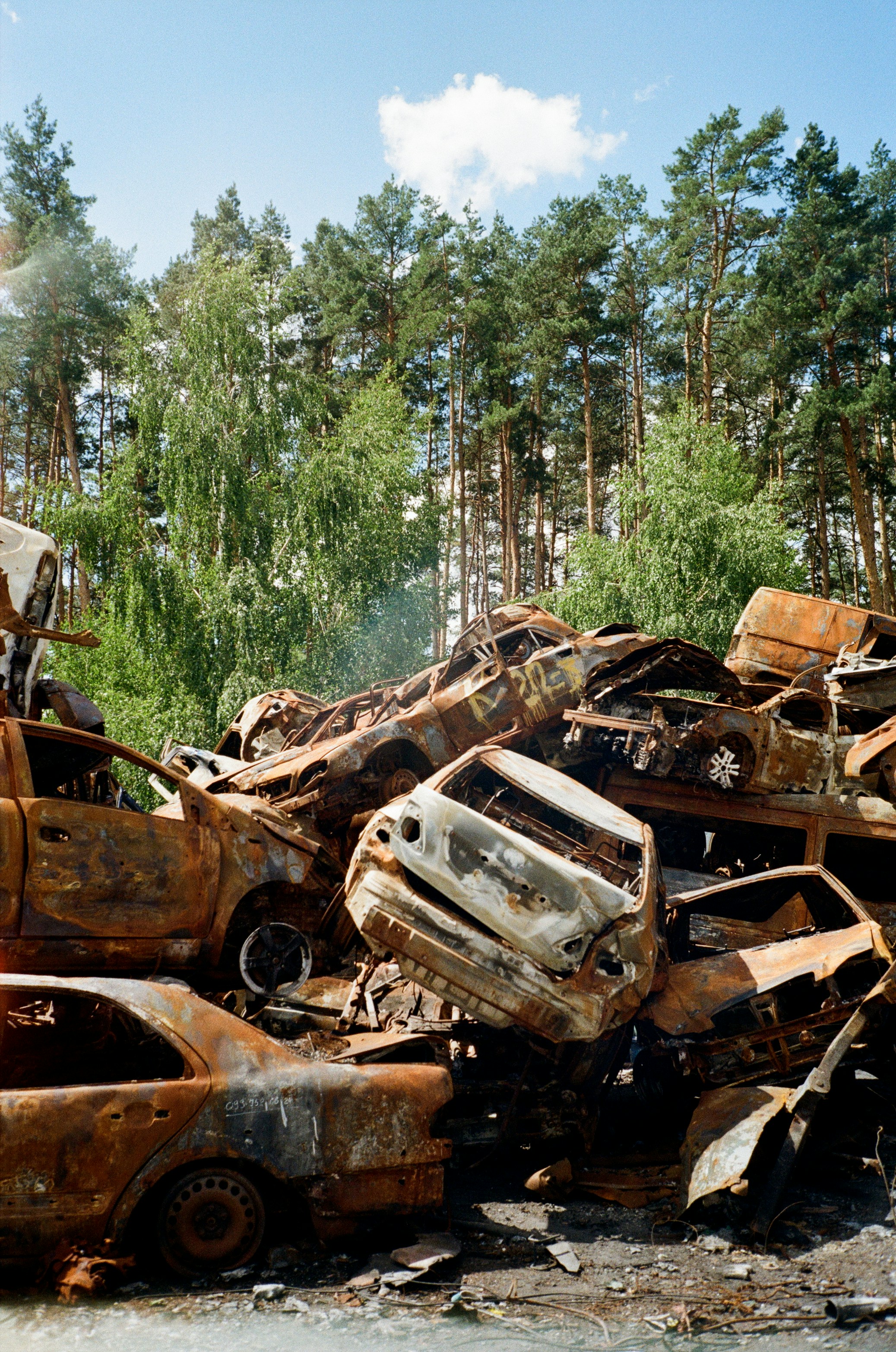 Photo by ksusha_kazak