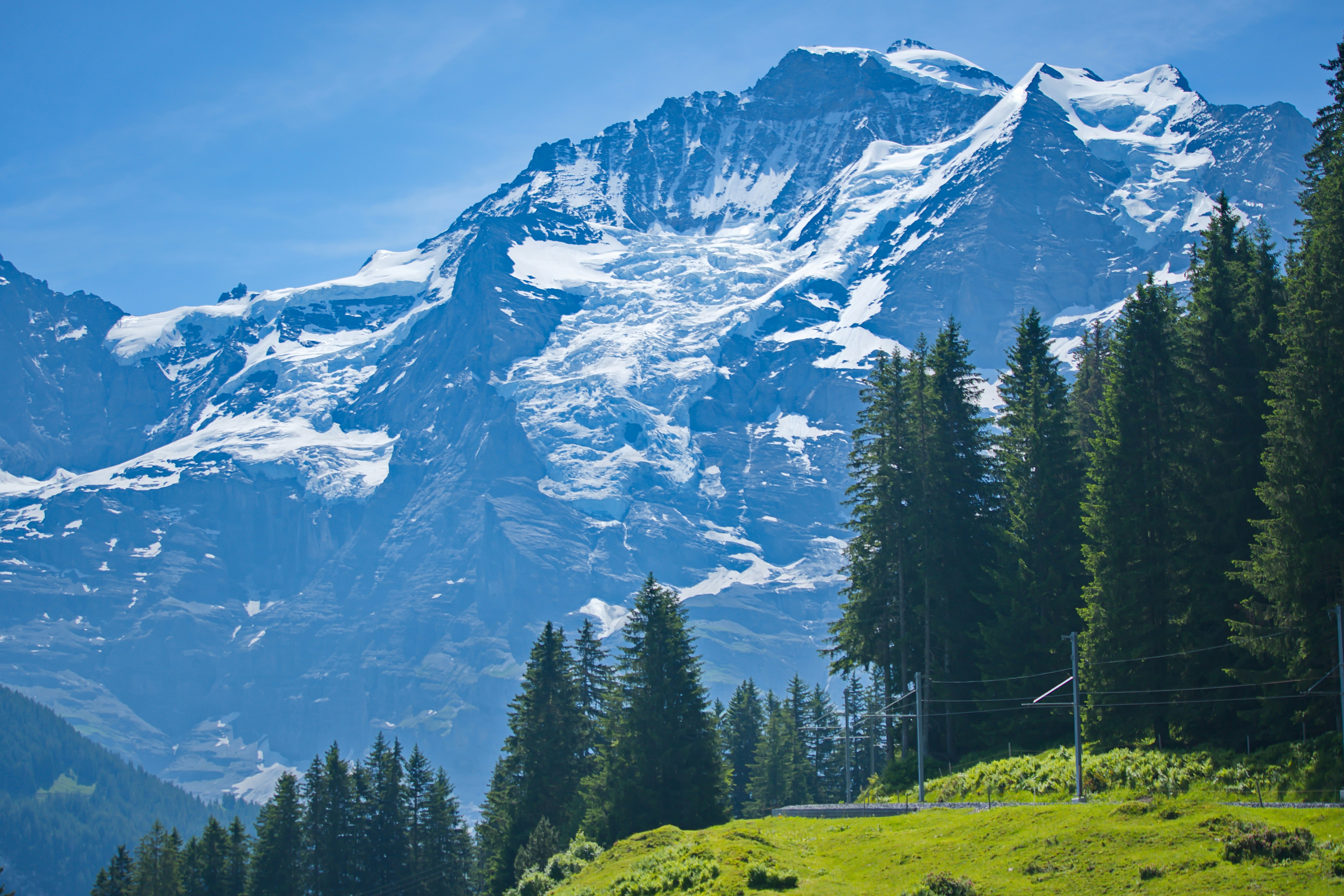 Photo by deanmilenkovic