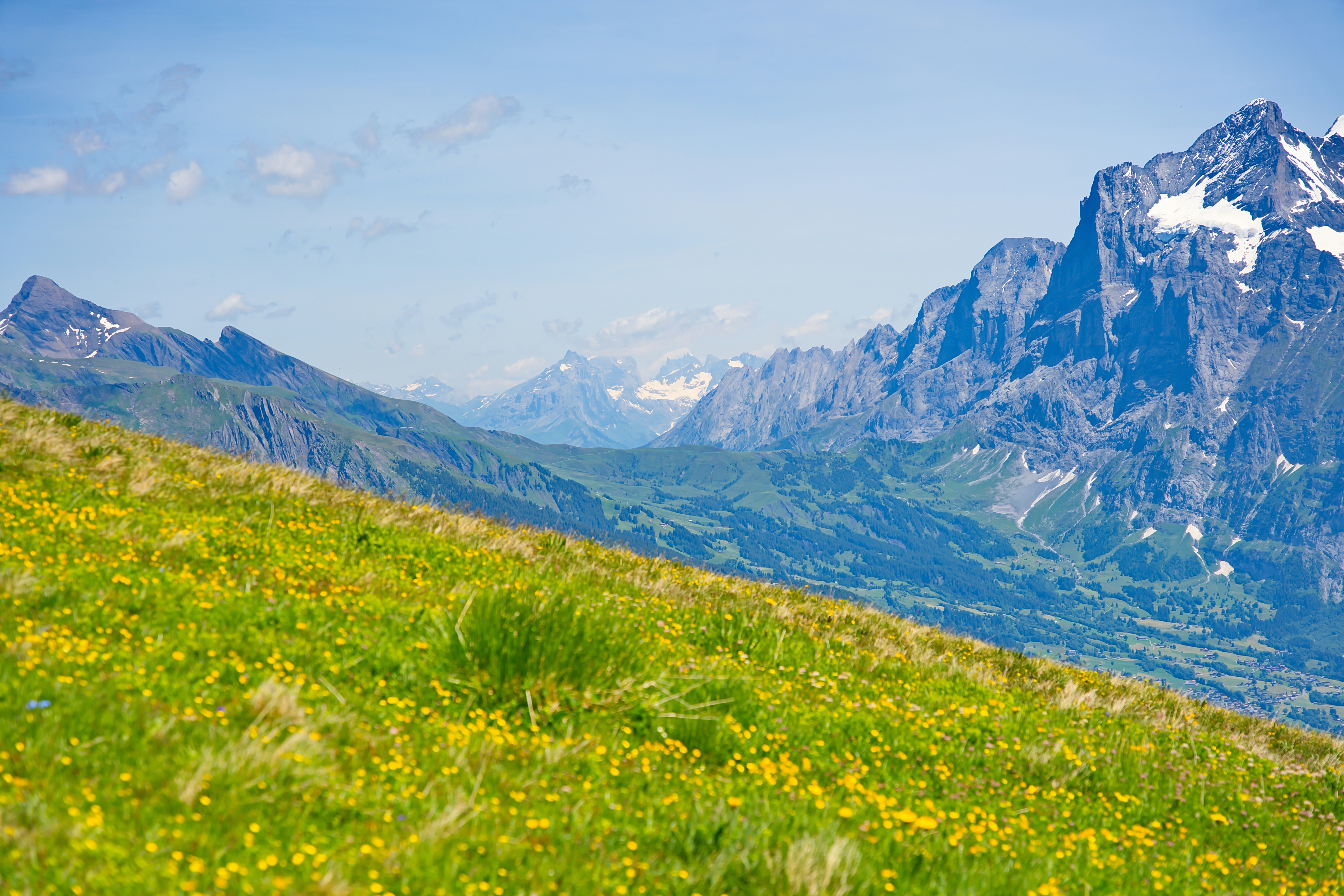 Photo by deanmilenkovic