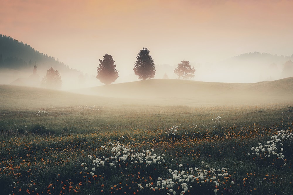 a field of flowers with trees in the background