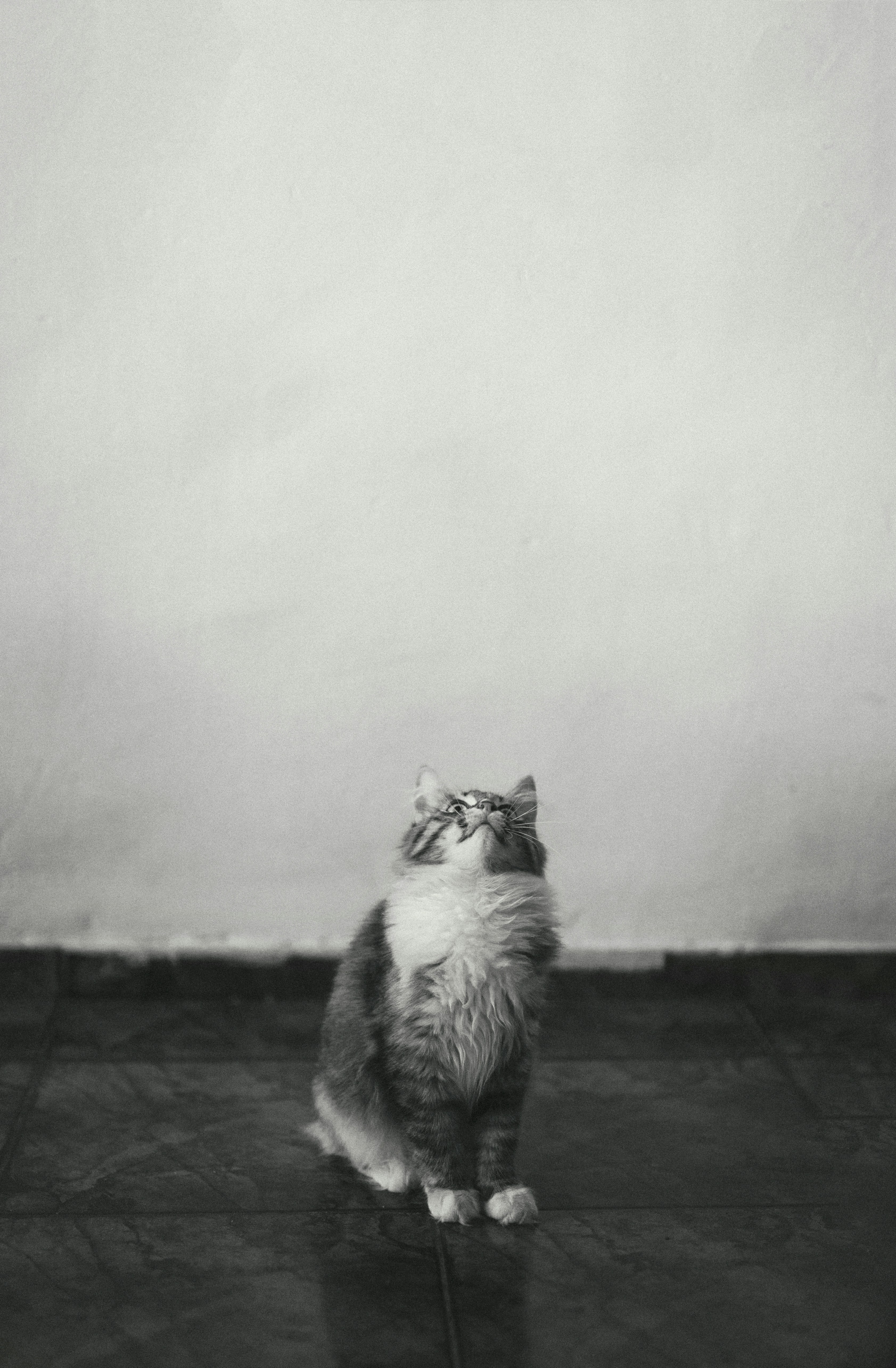 Show Unconditional Patience and Love (image credits: unsplash)