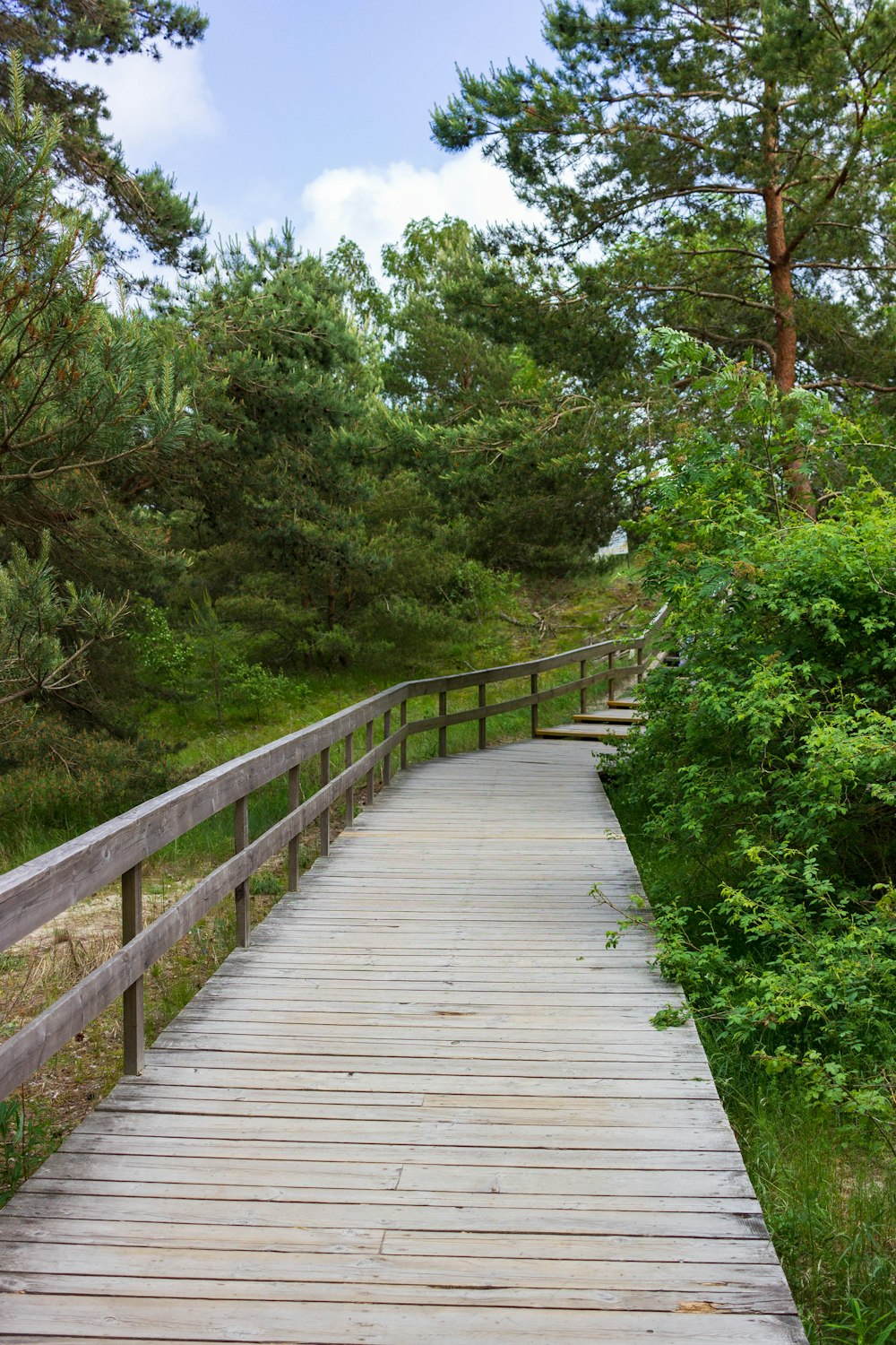 a wooden bridge over a river