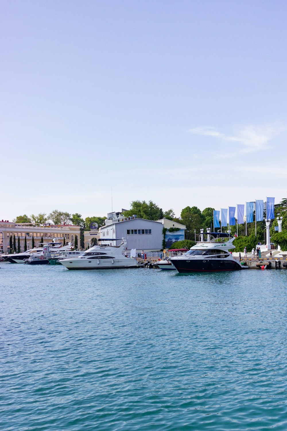 boats in the water