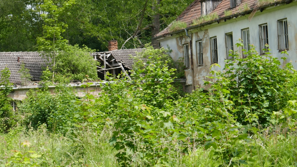 a house with trees and bushes around it