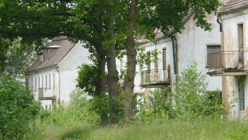 une maison avec des arbres et des buissons autour