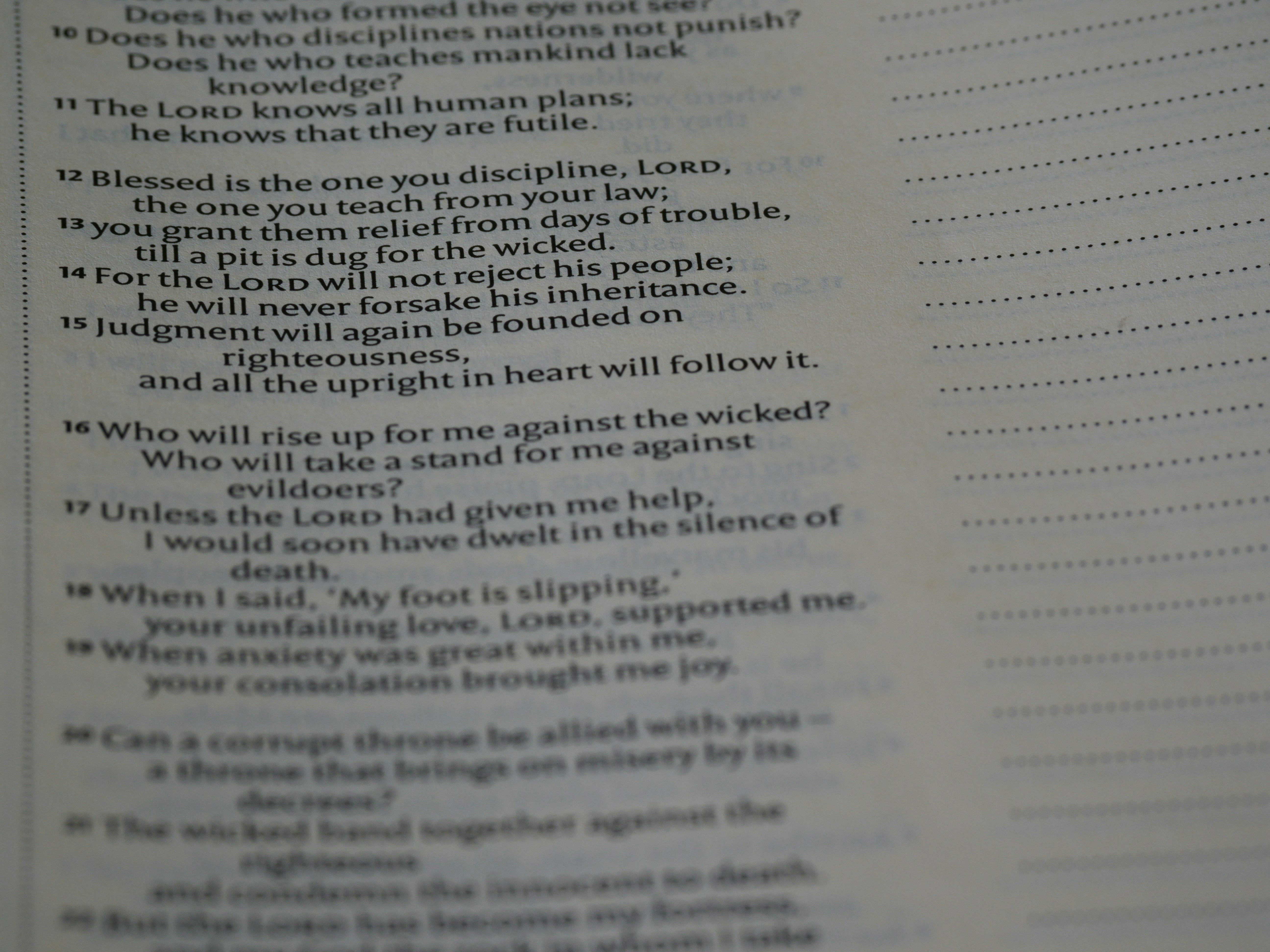 Photo by brett_jordan