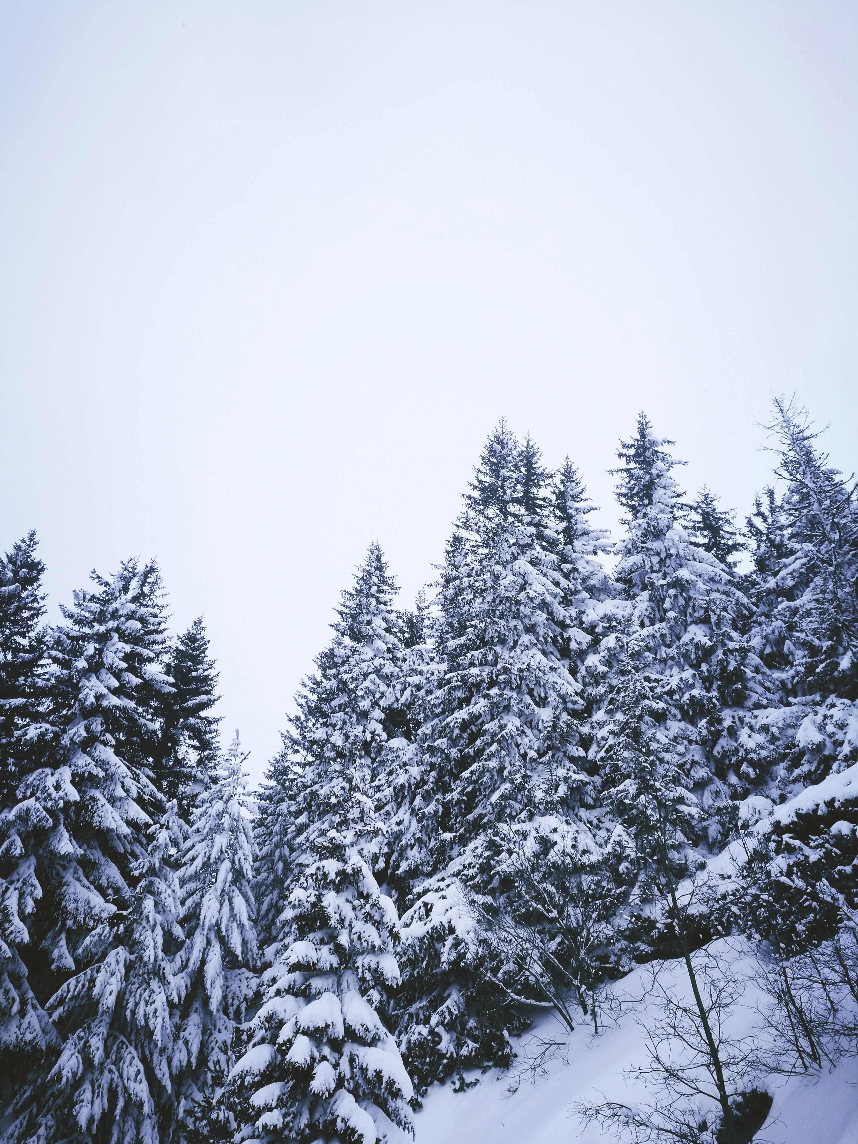 Photo by longlitsense