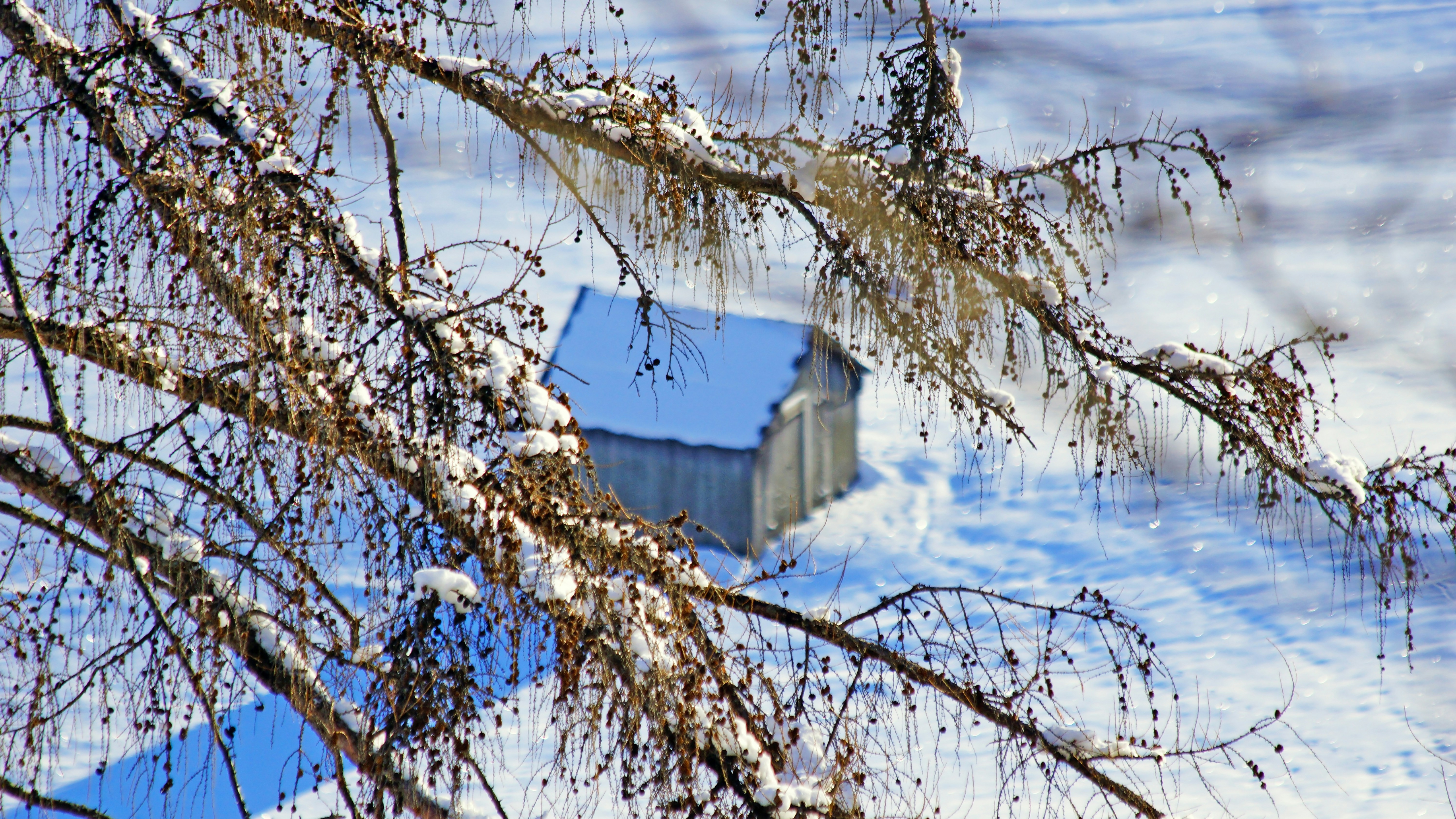 Photo by borisview