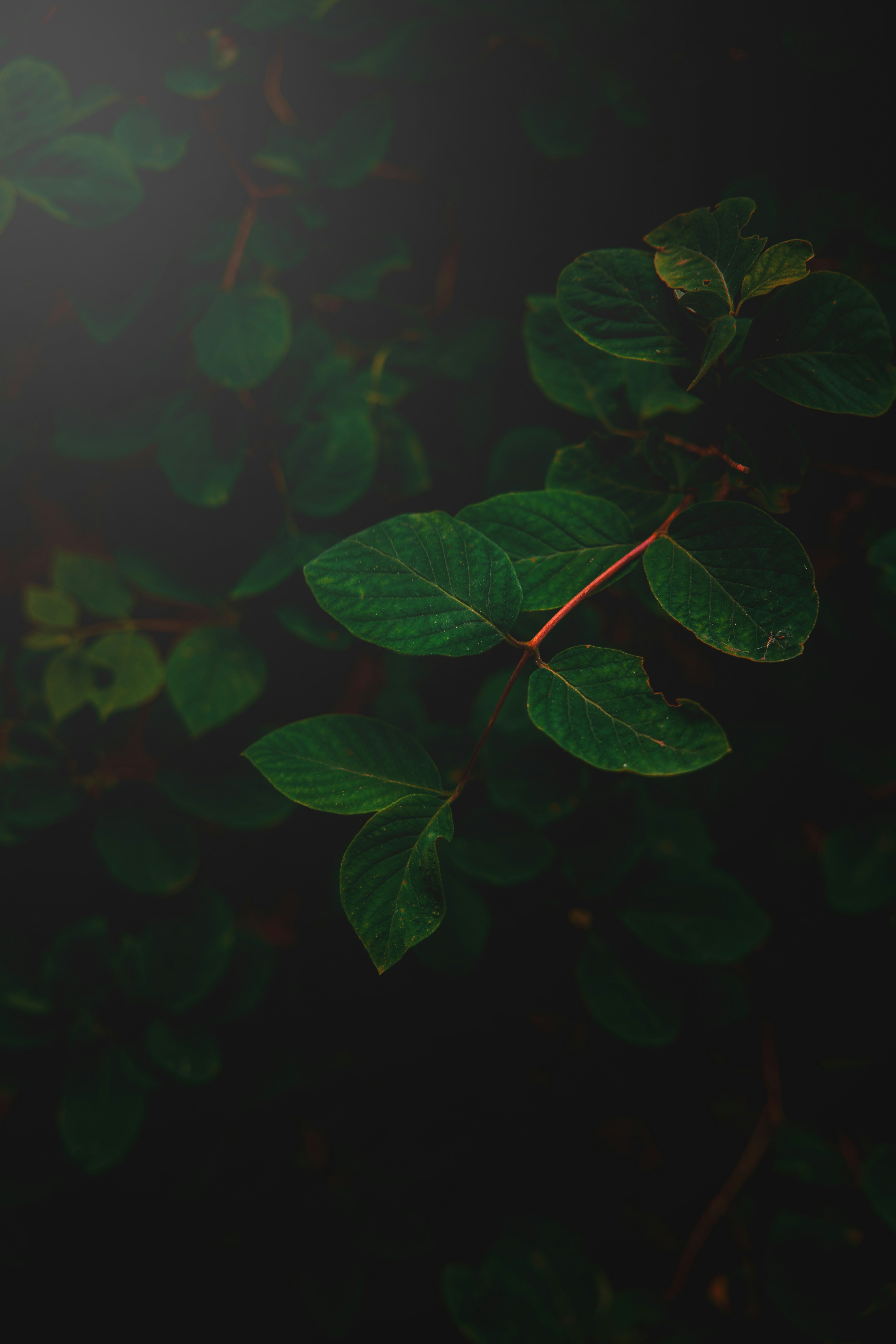 Photo by mazurekphotographer