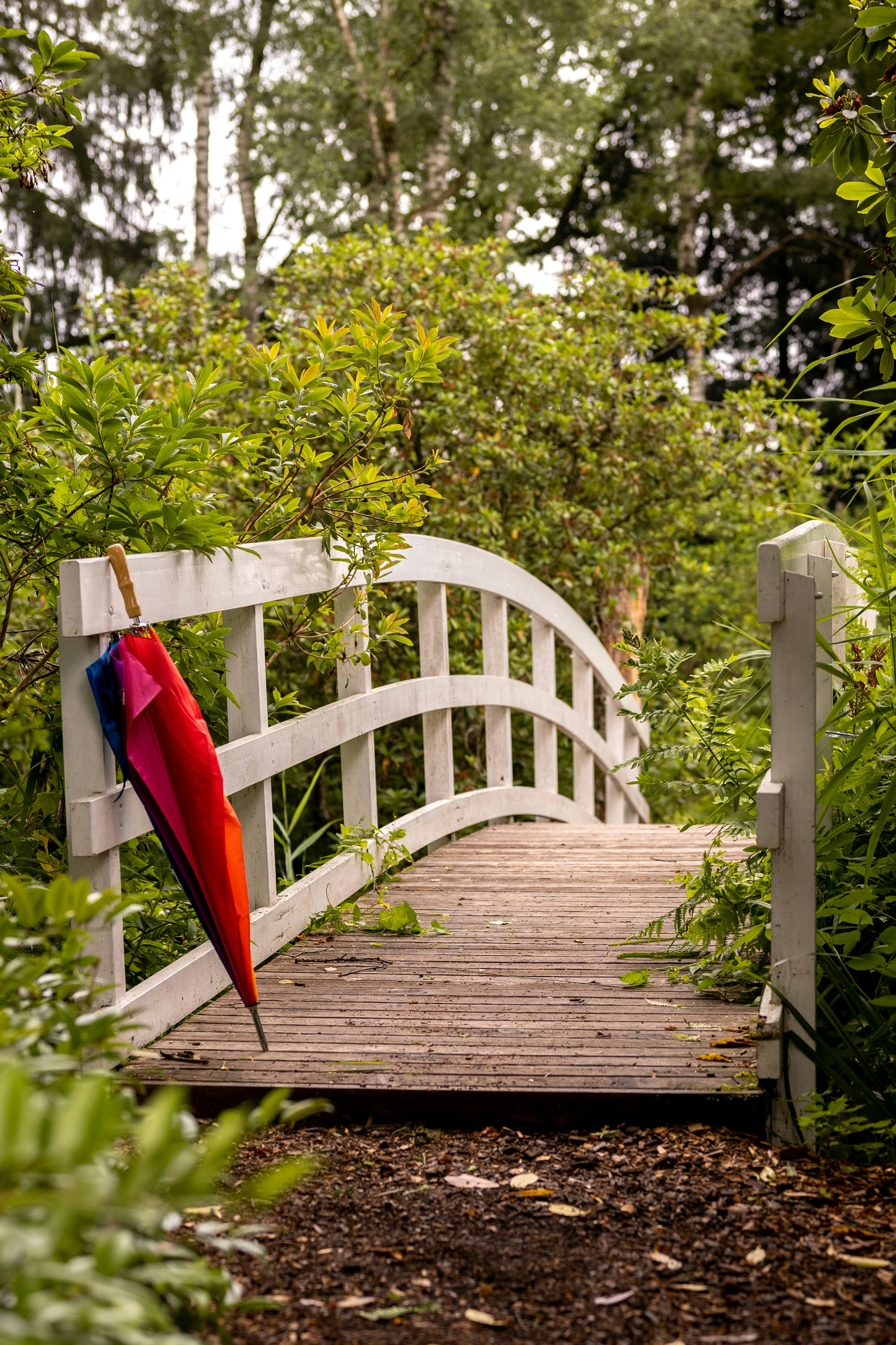 Photo by melanieweidmann_photography