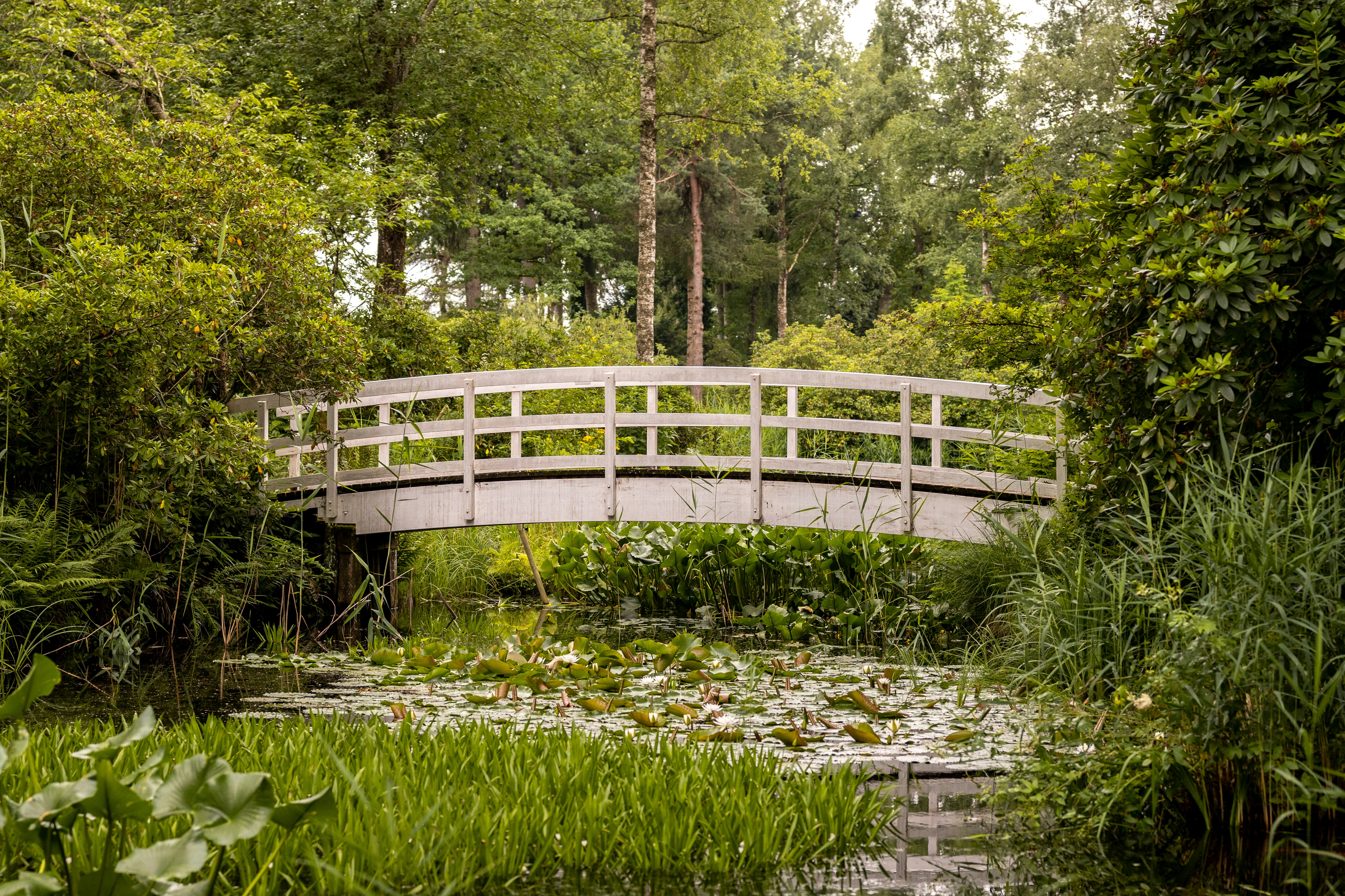 Photo by melanieweidmann_photography