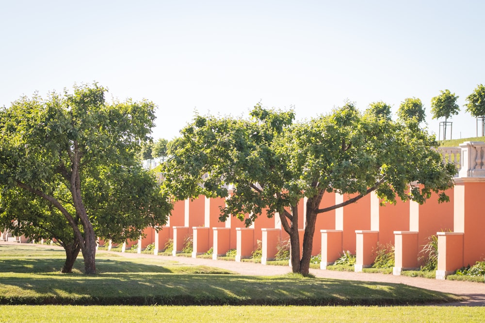 a tree in front of a building