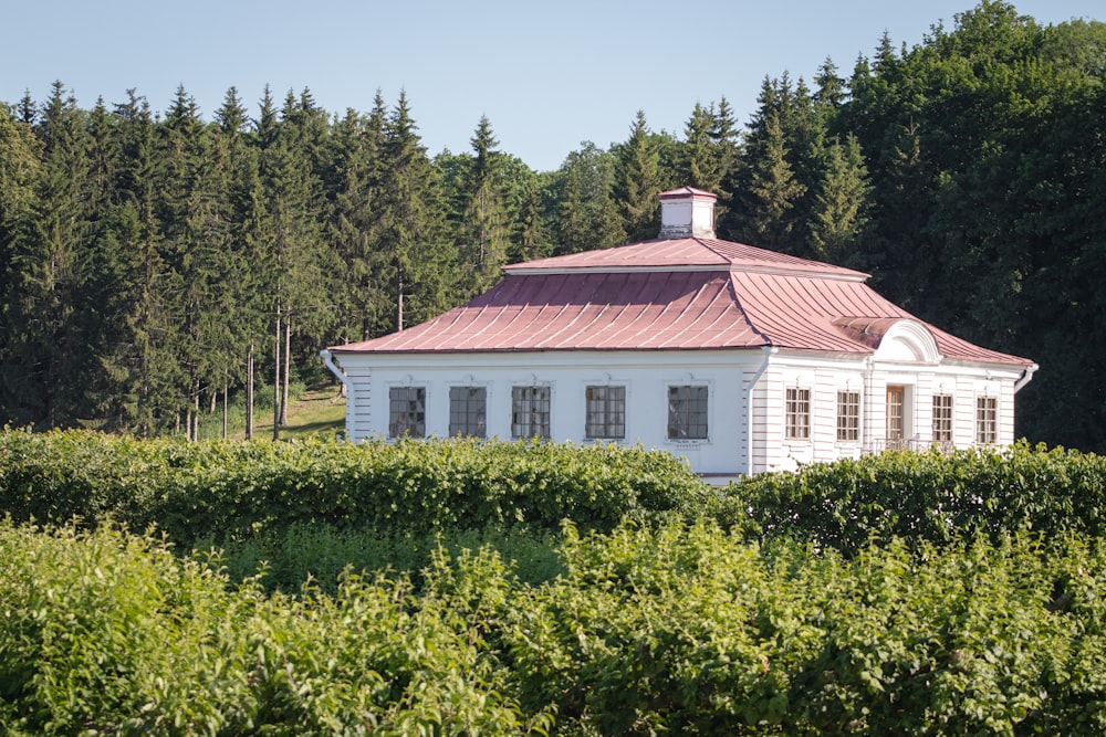 a house surrounded by bushes